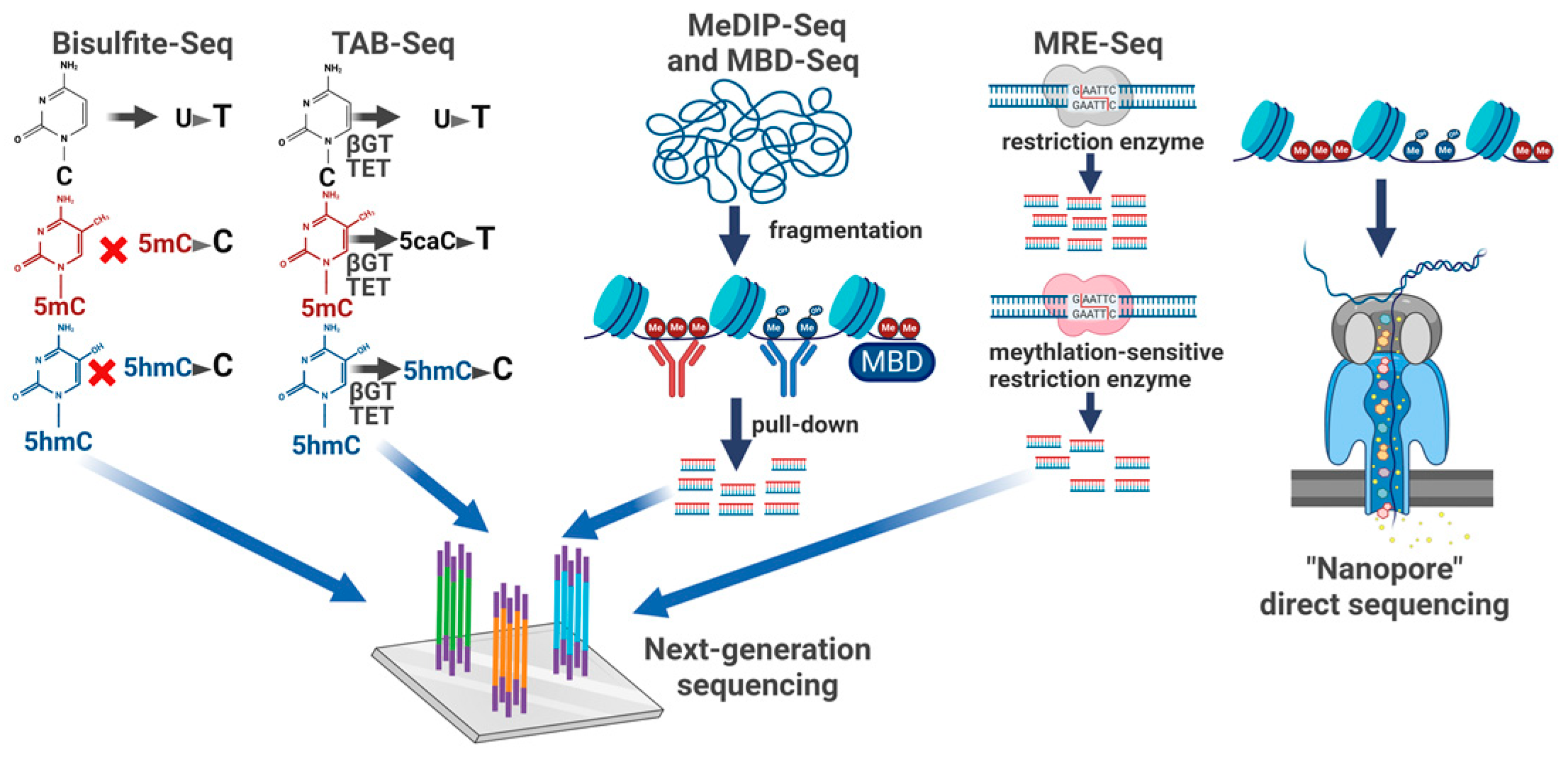 Epigenomes 08 00027 g006