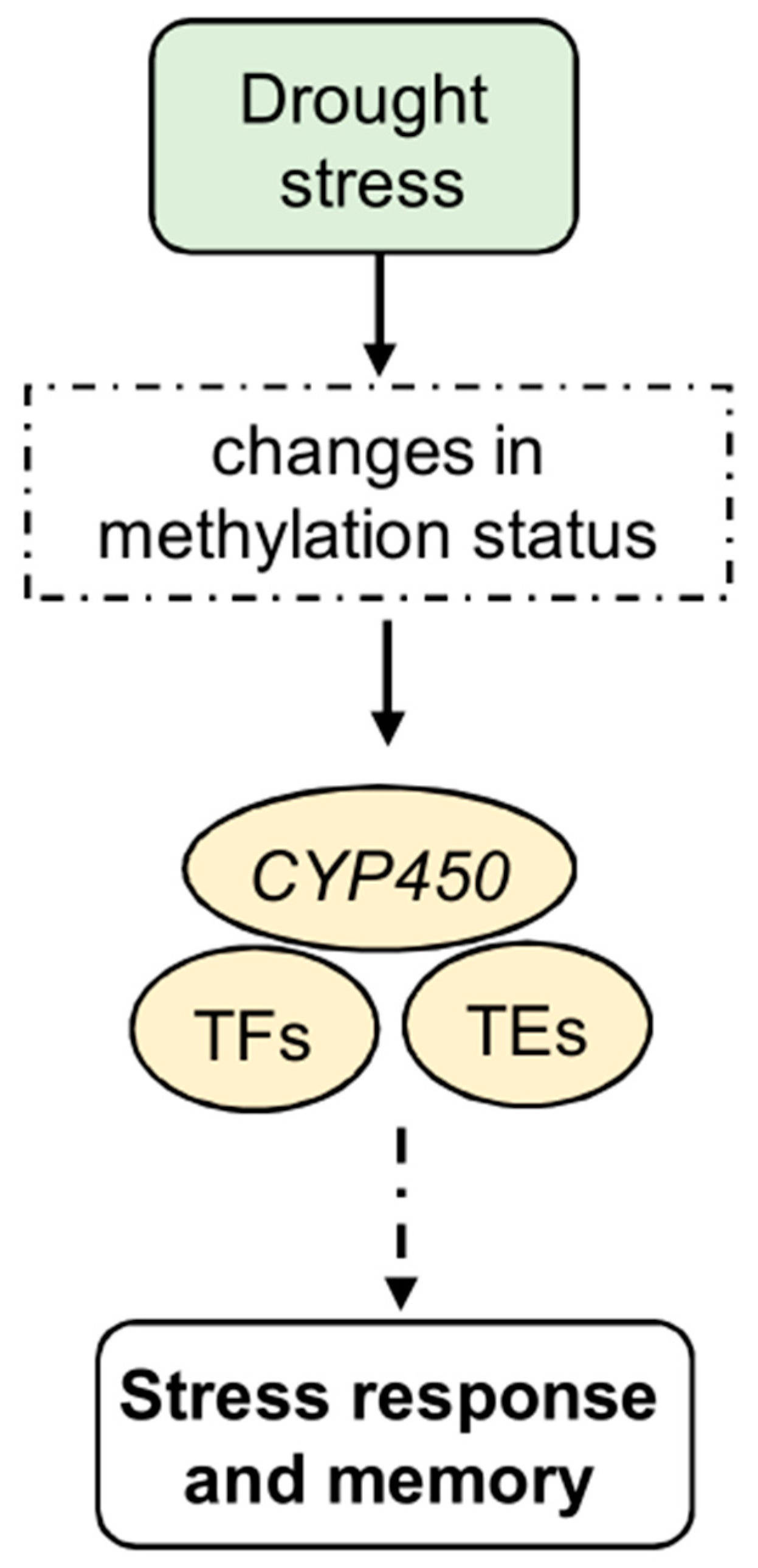 Epigenomes 08 00030 g002