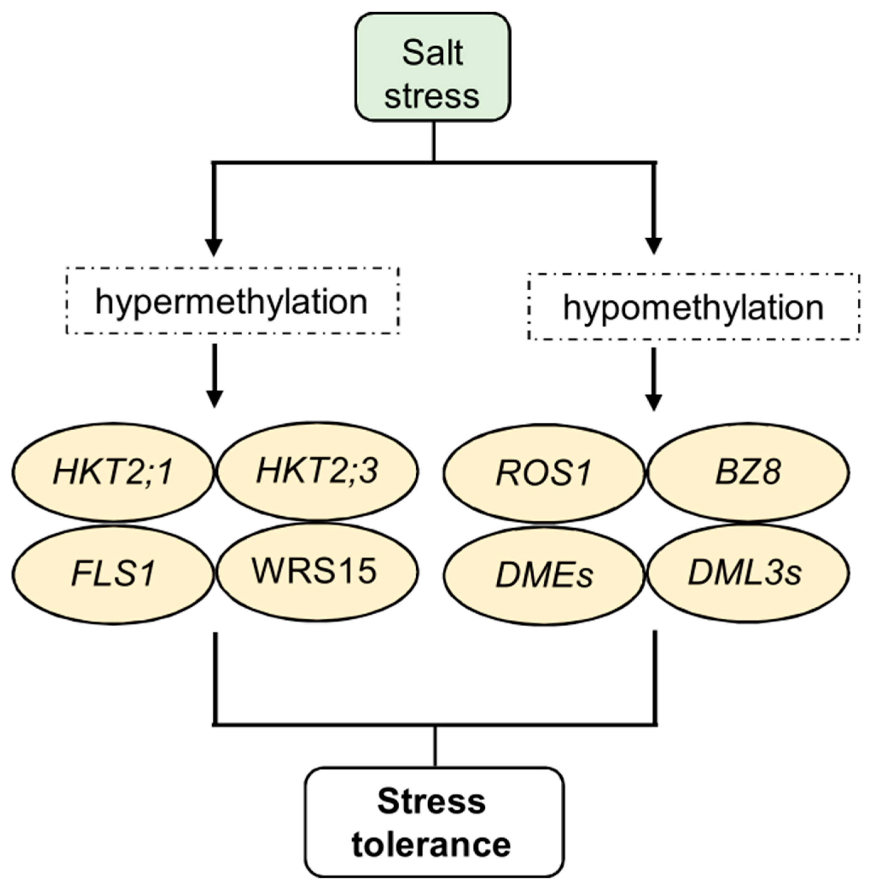 Epigenomes 08 00030 g003