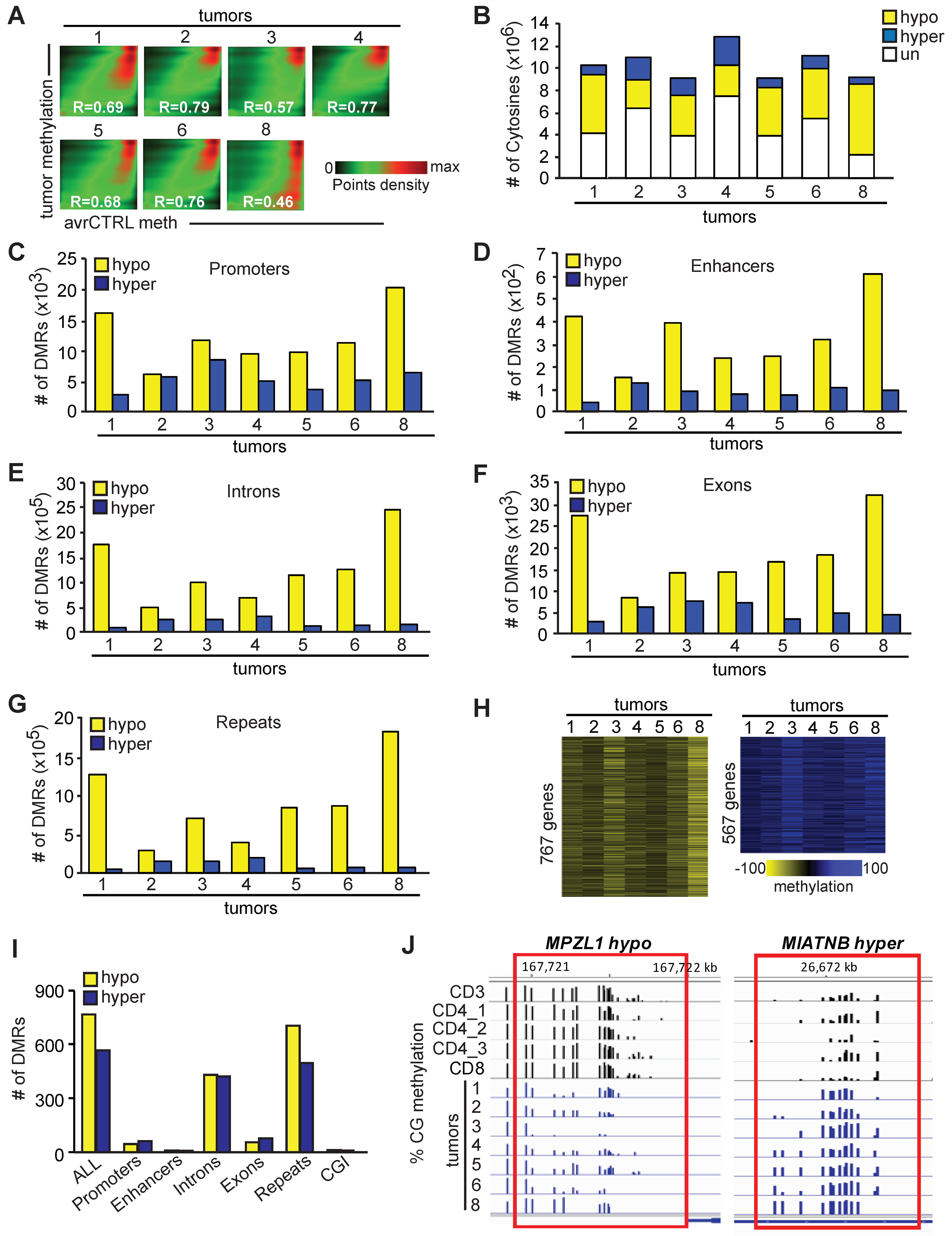 Epigenomes 08 00032 g002