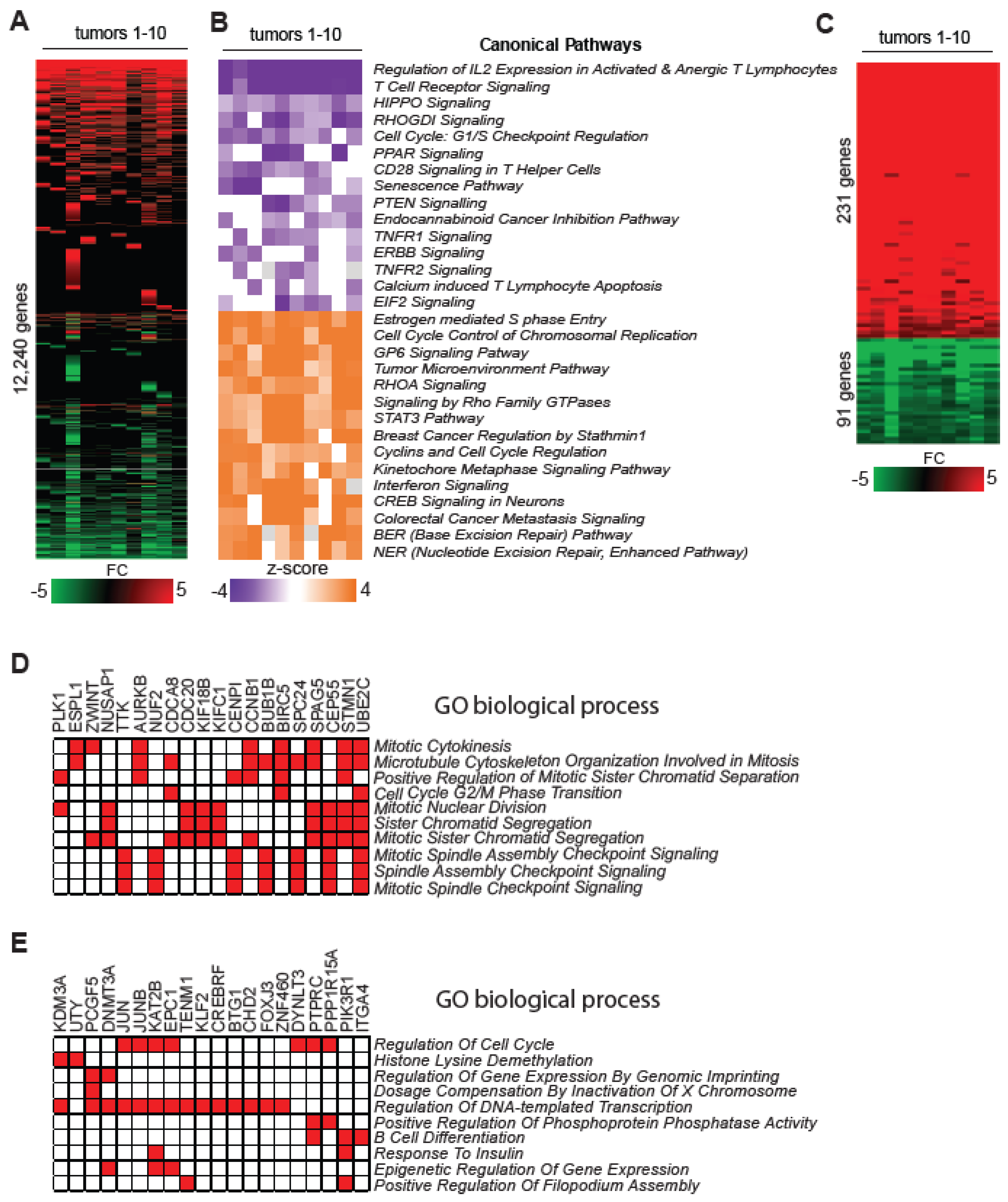 Epigenomes 08 00032 g003