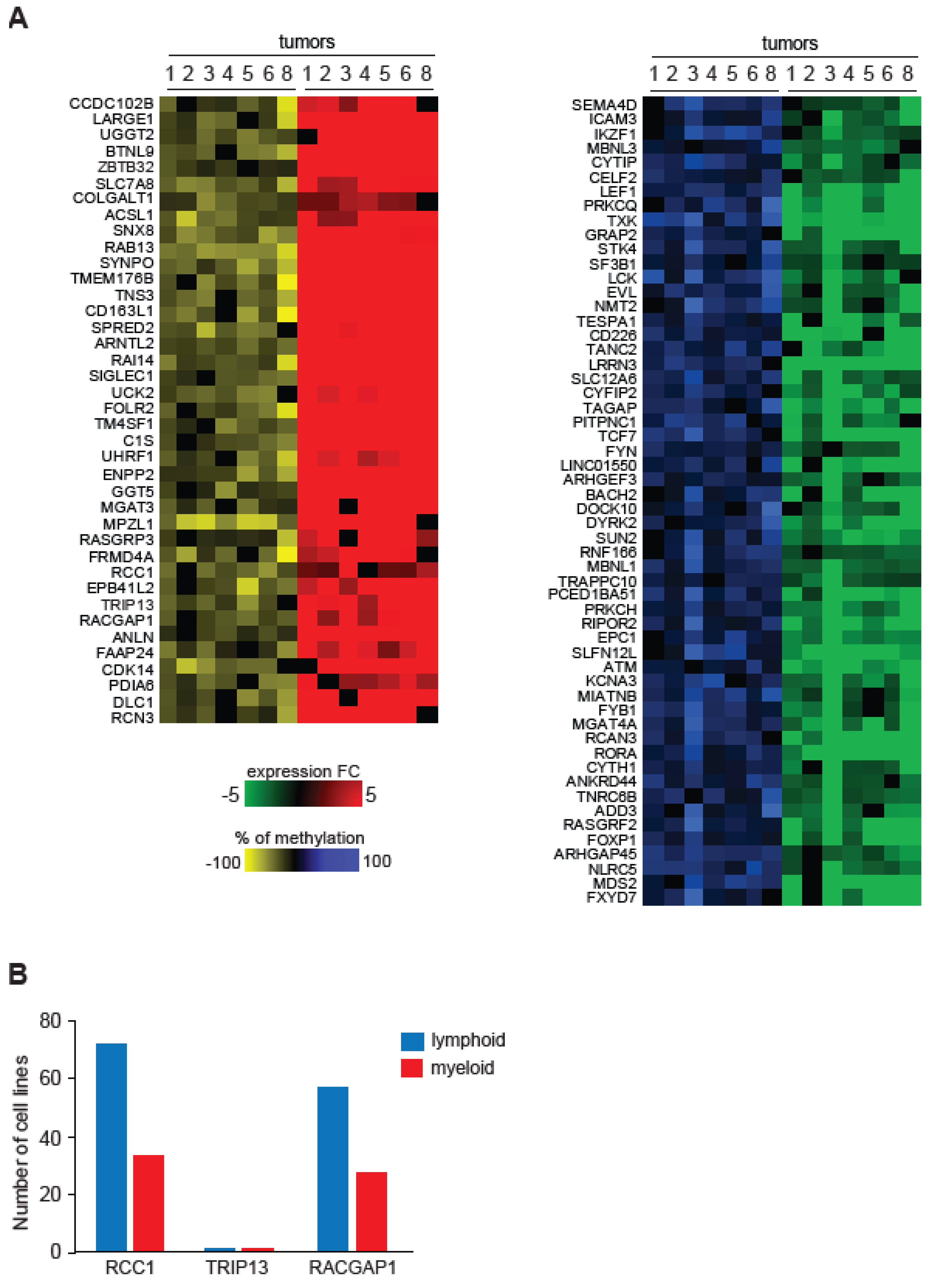 Epigenomes 08 00032 g005