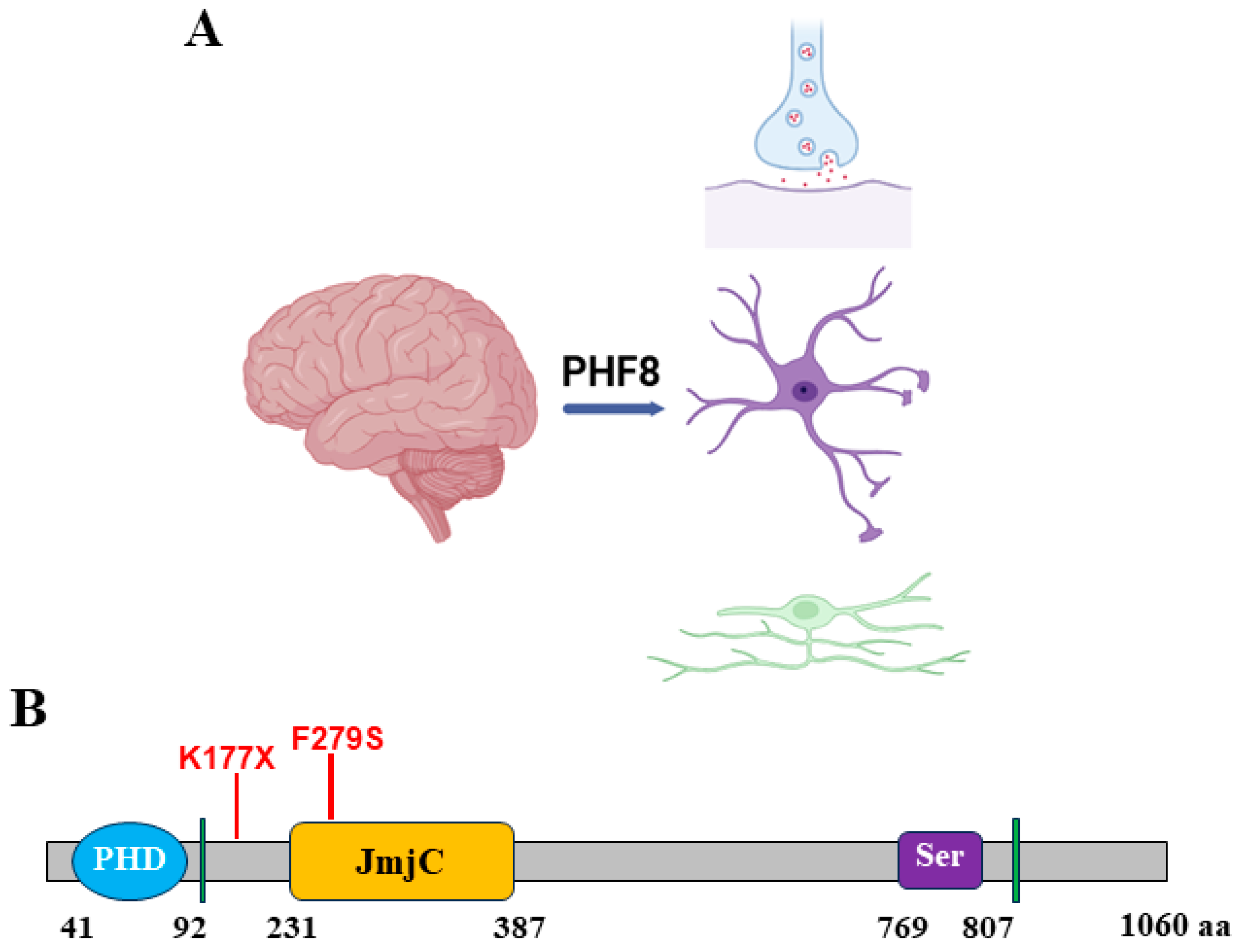 Epigenomes 08 00036 g002