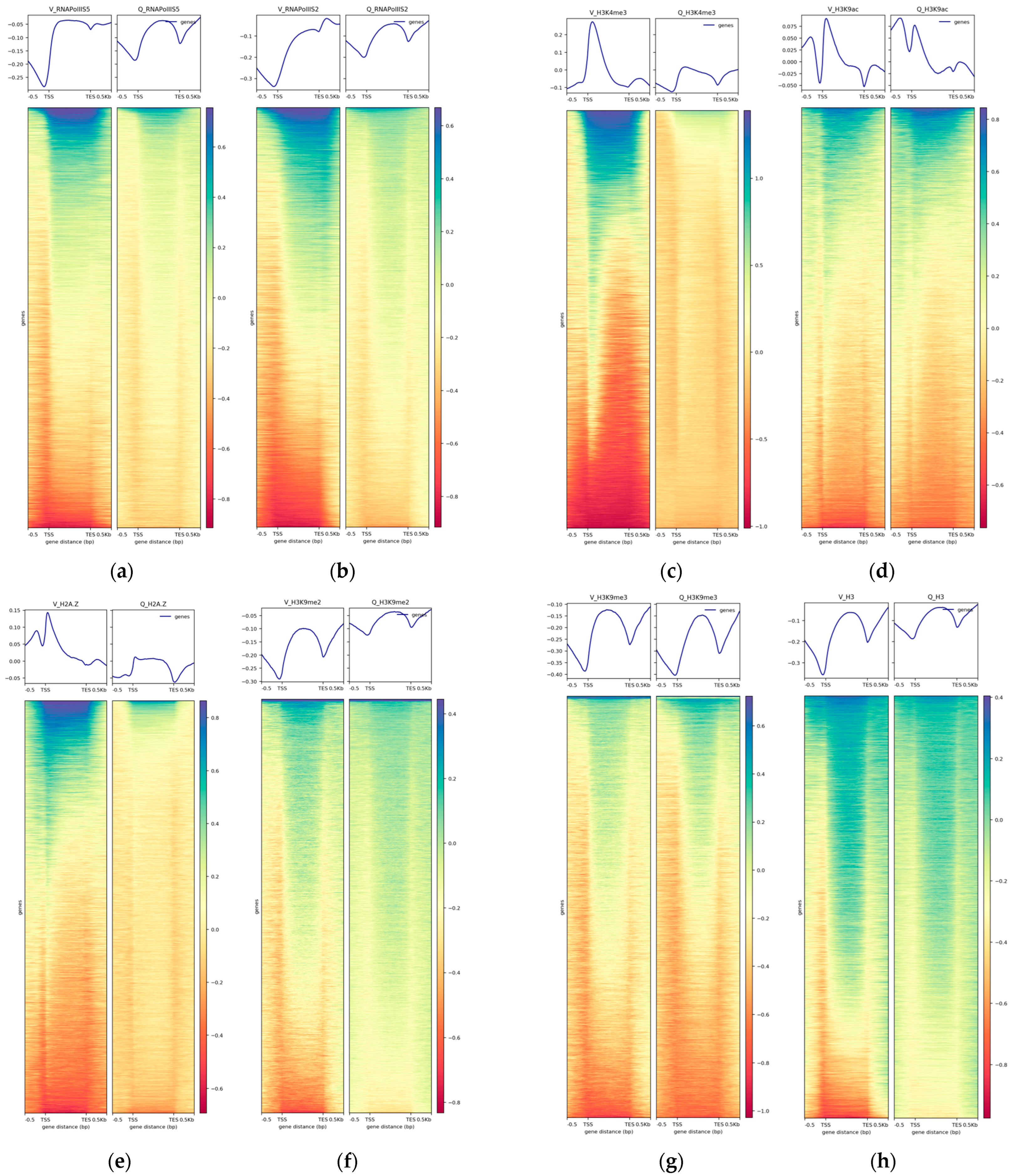 Epigenomes 08 00039 g004