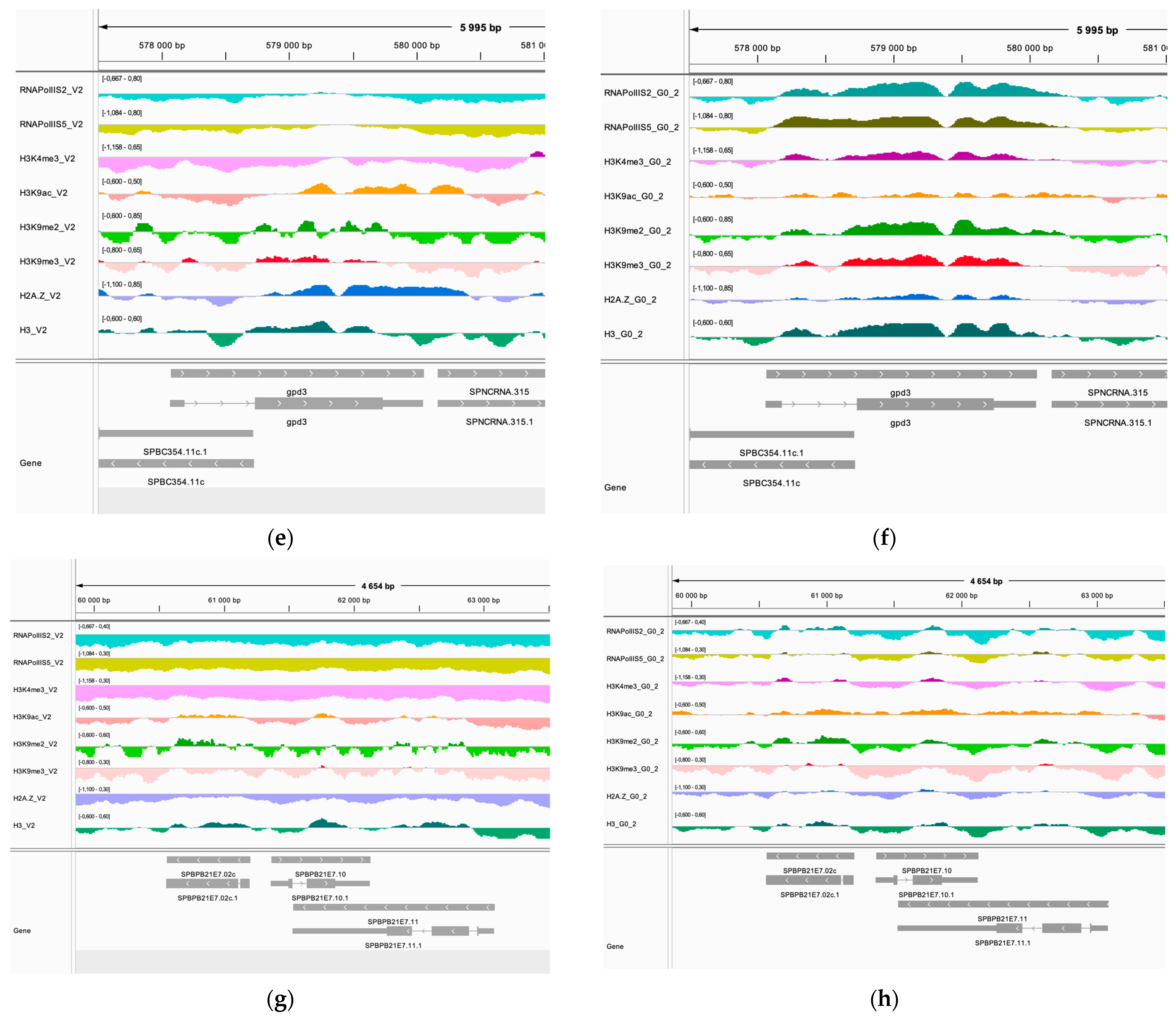 Epigenomes 08 00039 g007b