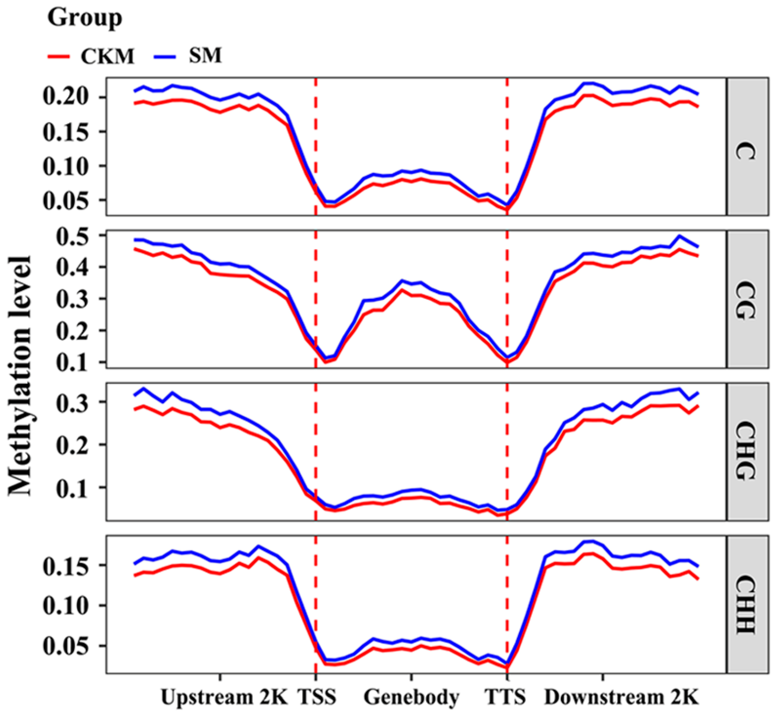 Epigenomes 08 00040 g003