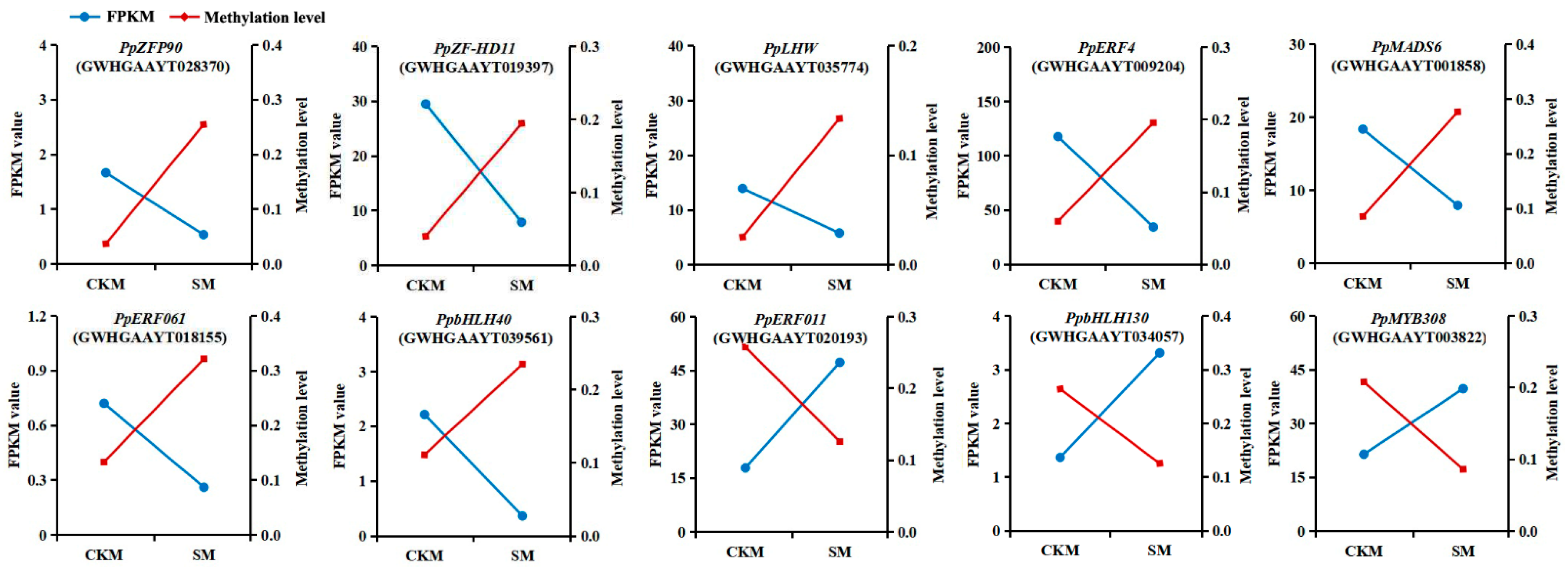 Epigenomes 08 00040 g006