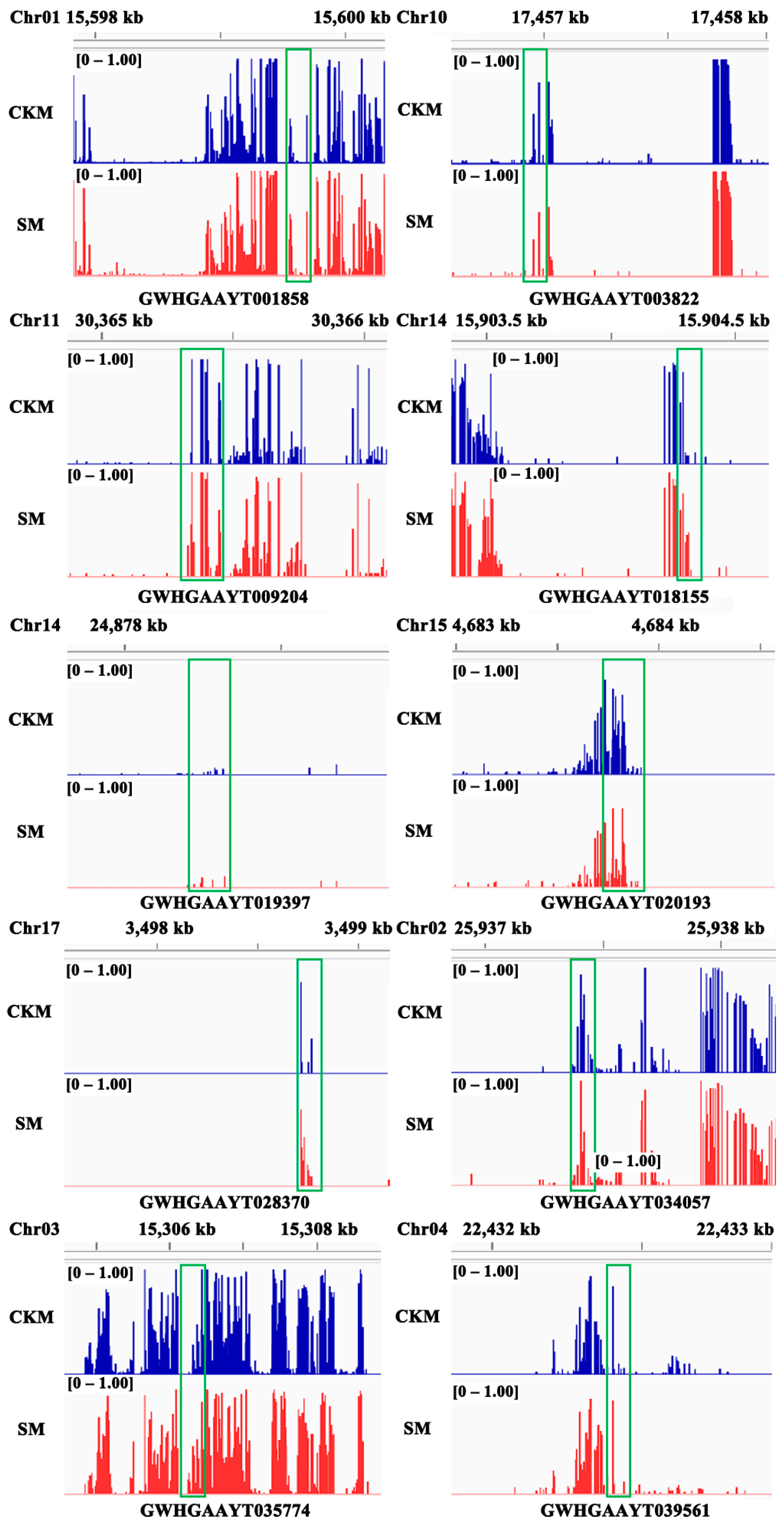 Epigenomes 08 00040 g007