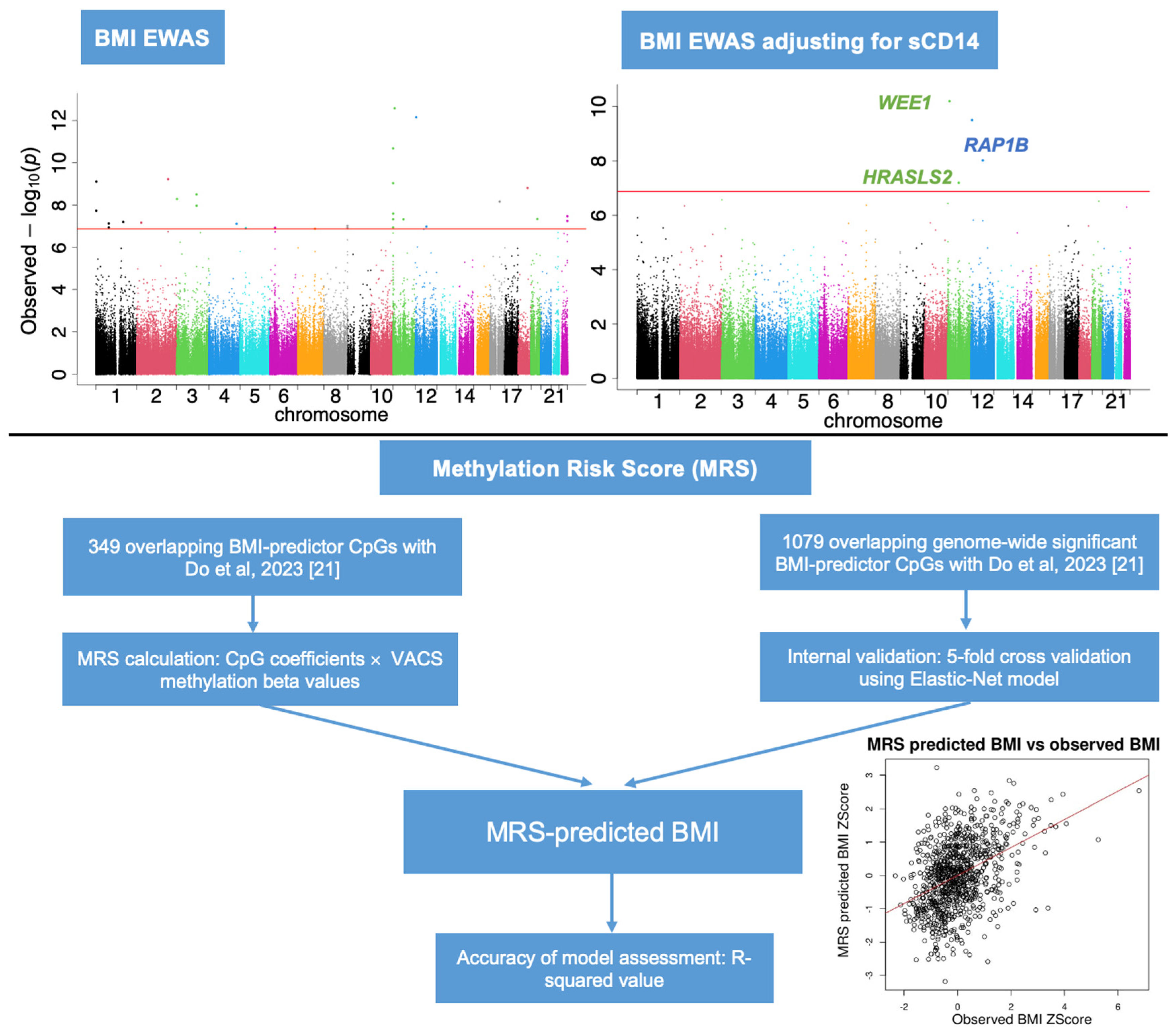 Epigenomes 08 00046 g006