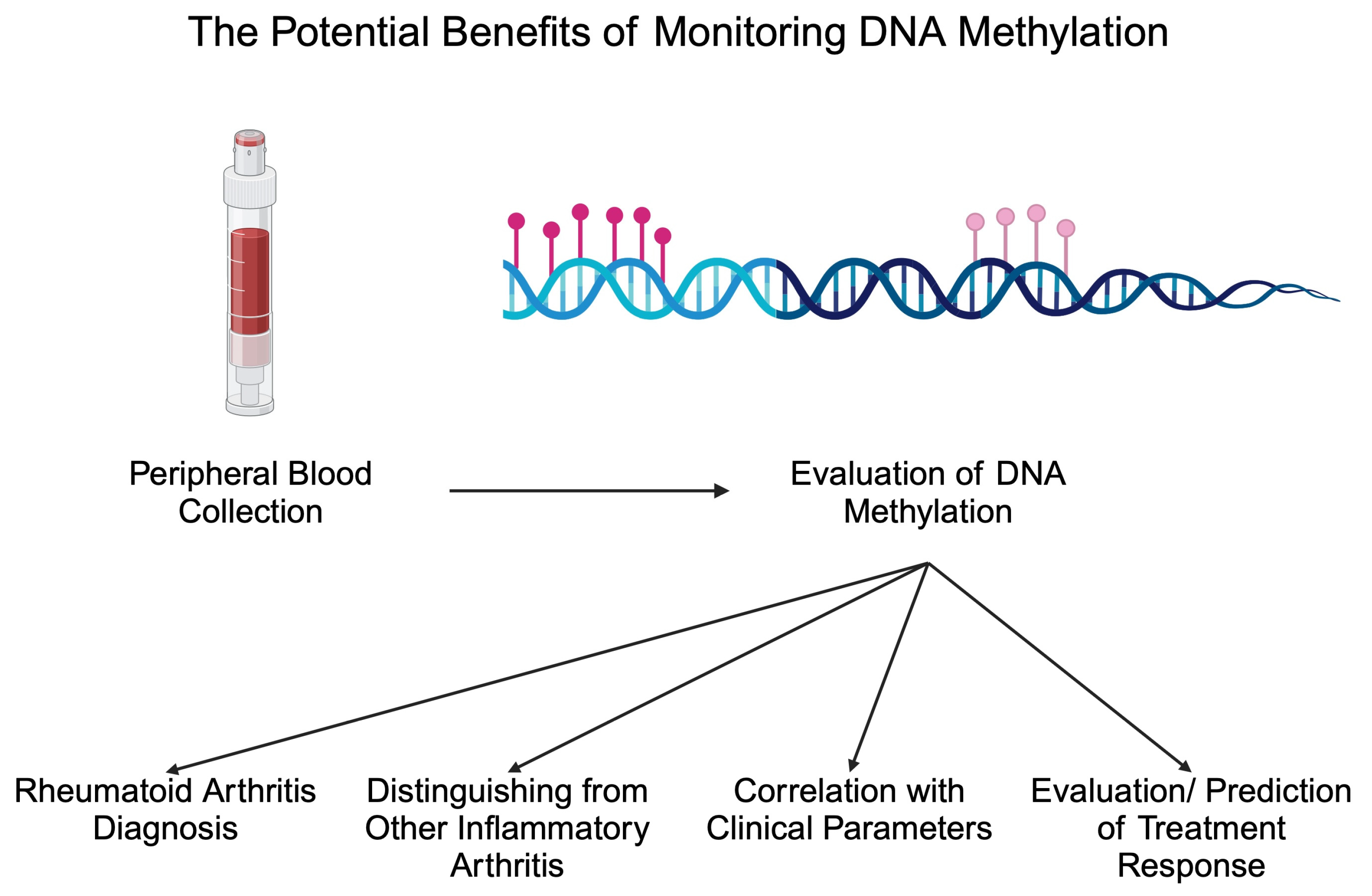 Epigenomes 09 00002 g002