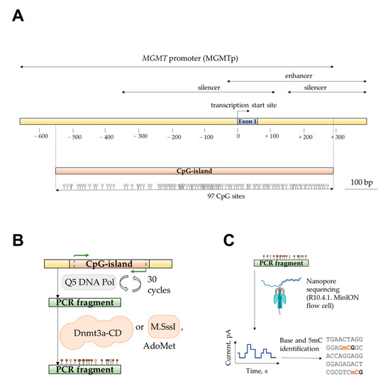 Epigenomes 09 00004 g001