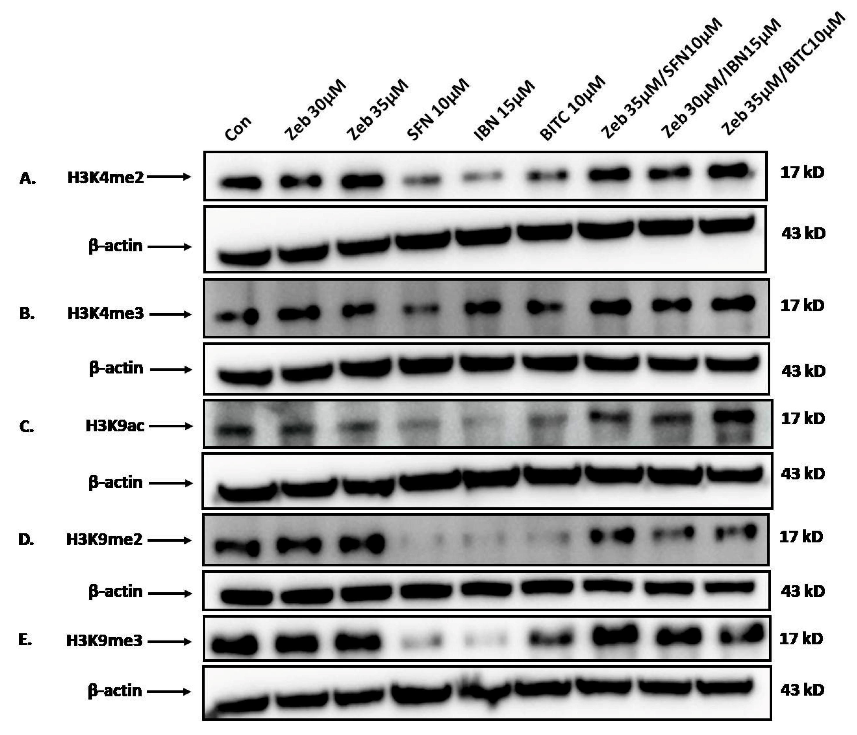 Epigenomes 09 00007 g006