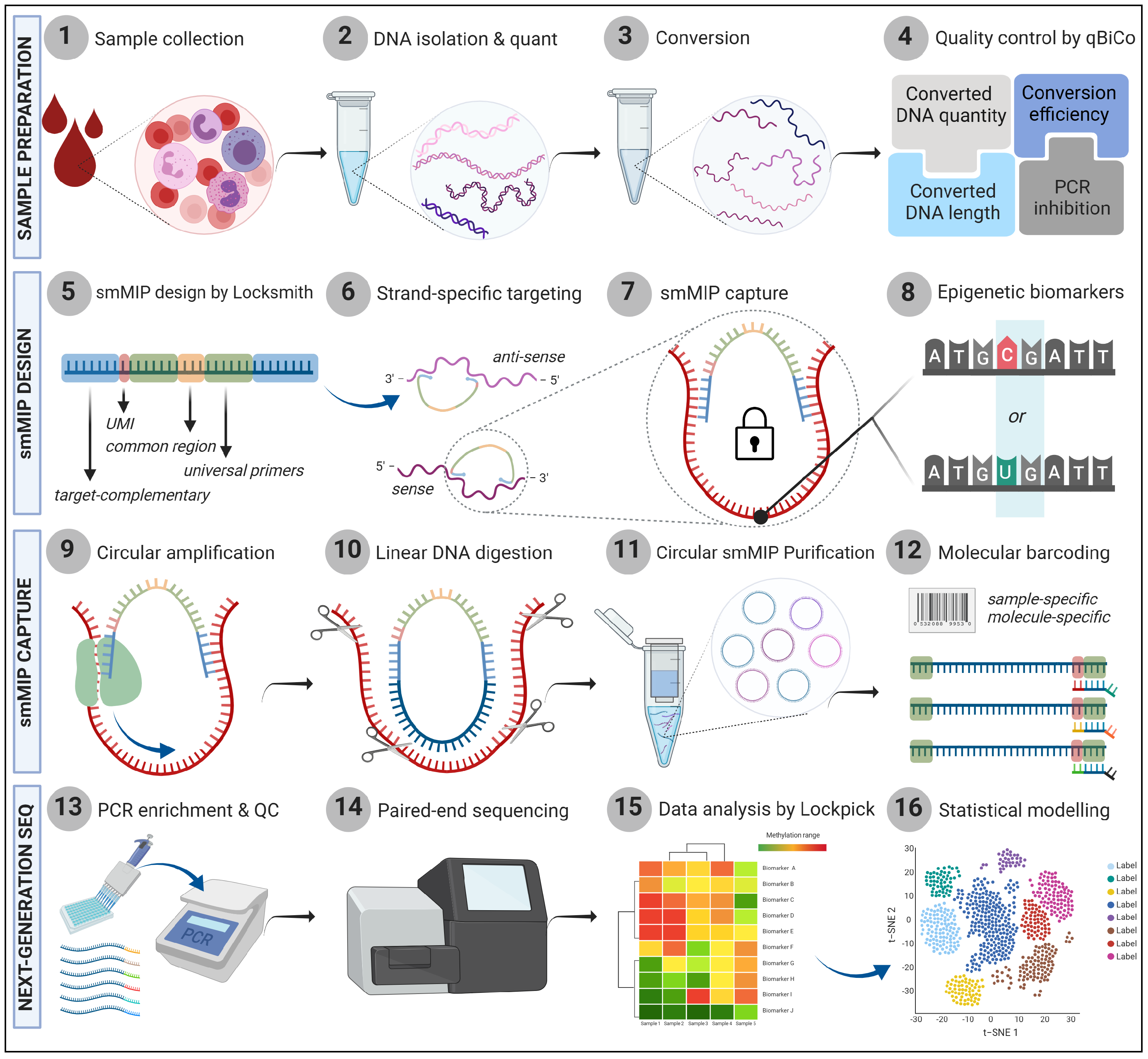 Epigenomes 09 00008 g001