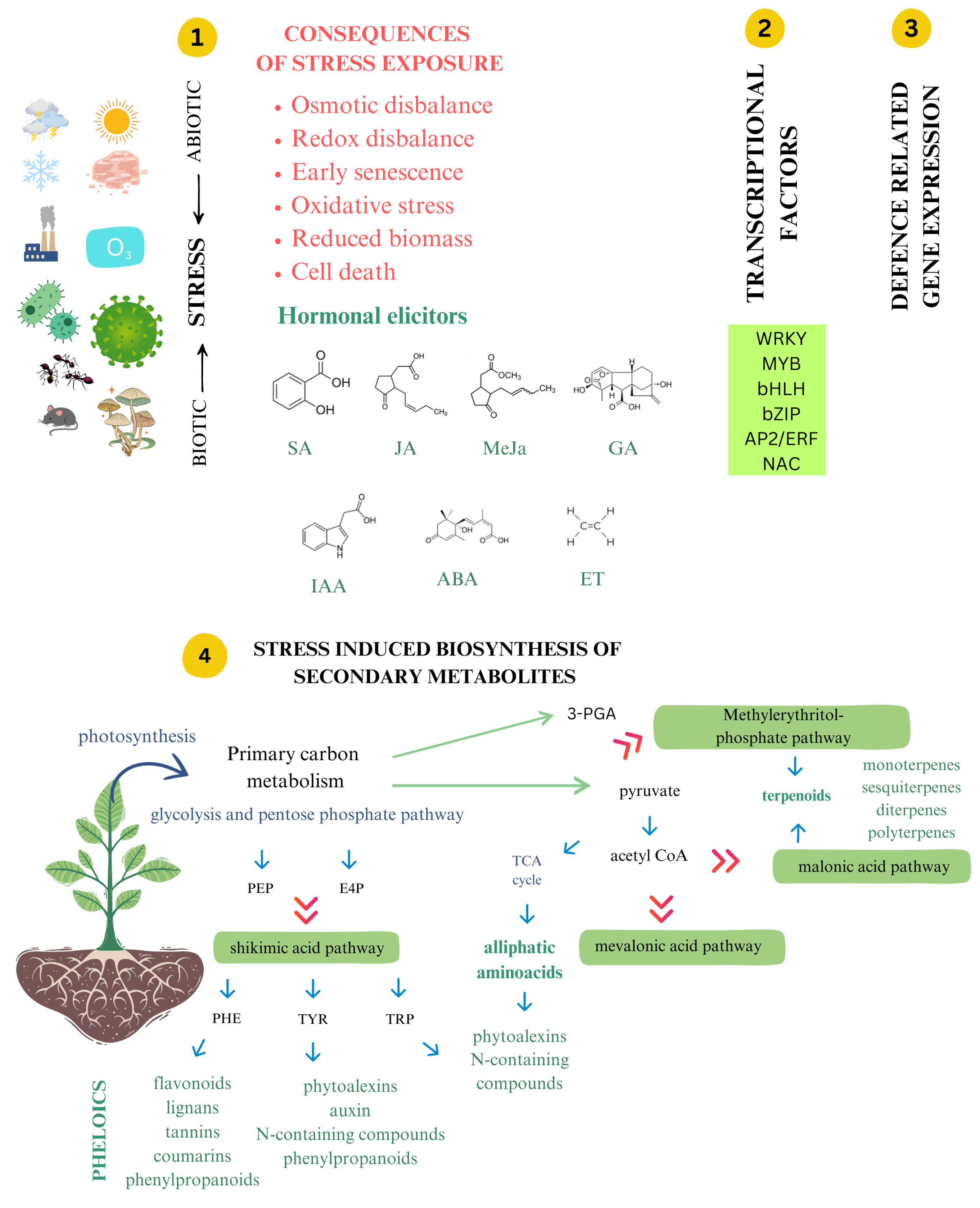 Epigenomes 09 00010 g001