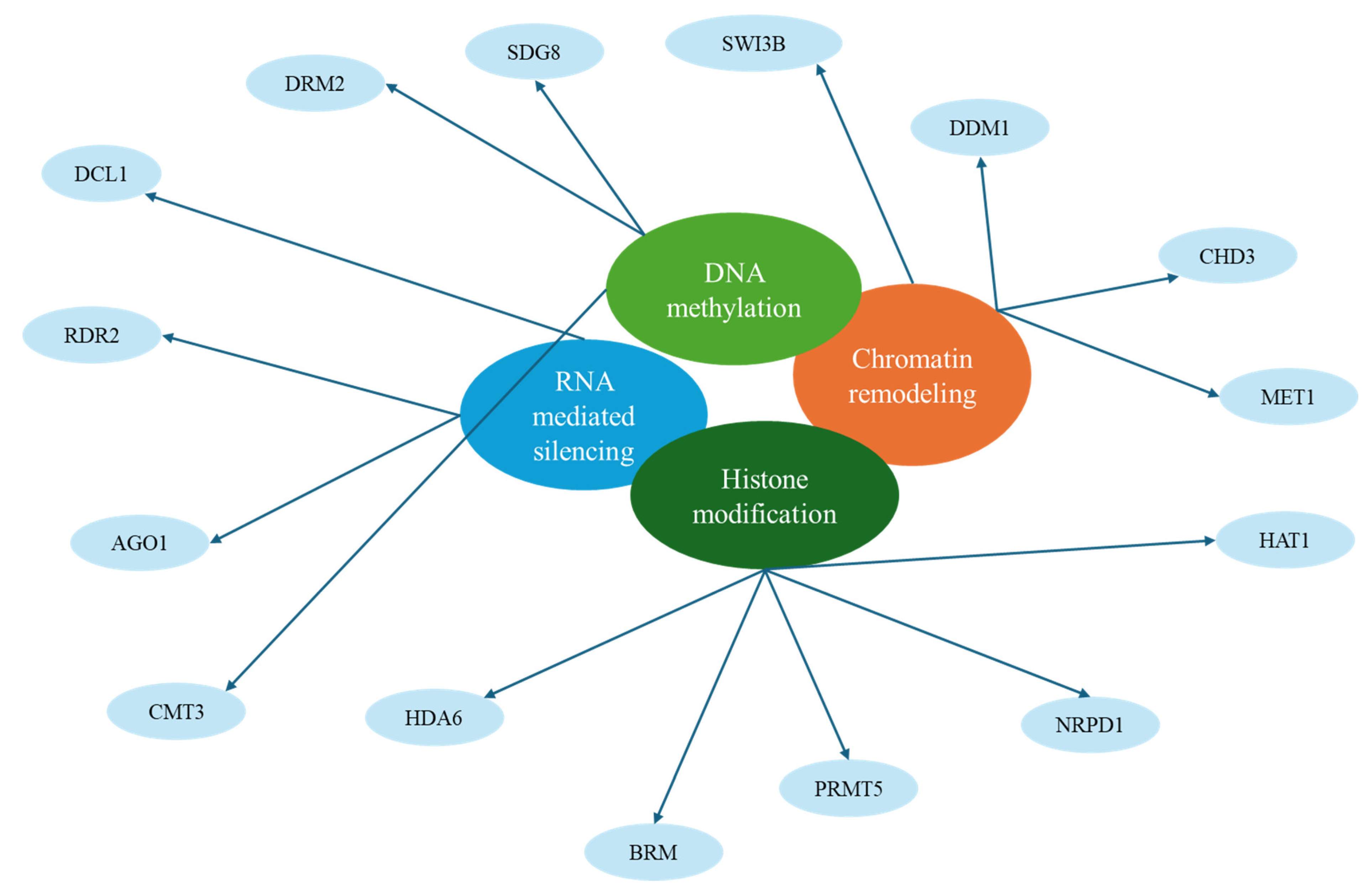 Epigenomes 09 00010 g003