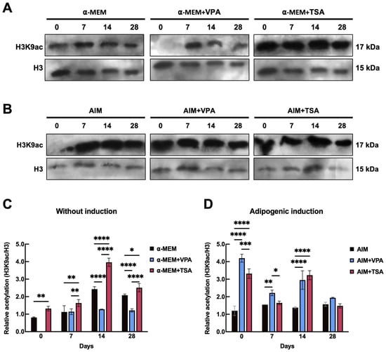 Epigenomes 09 00015 g003