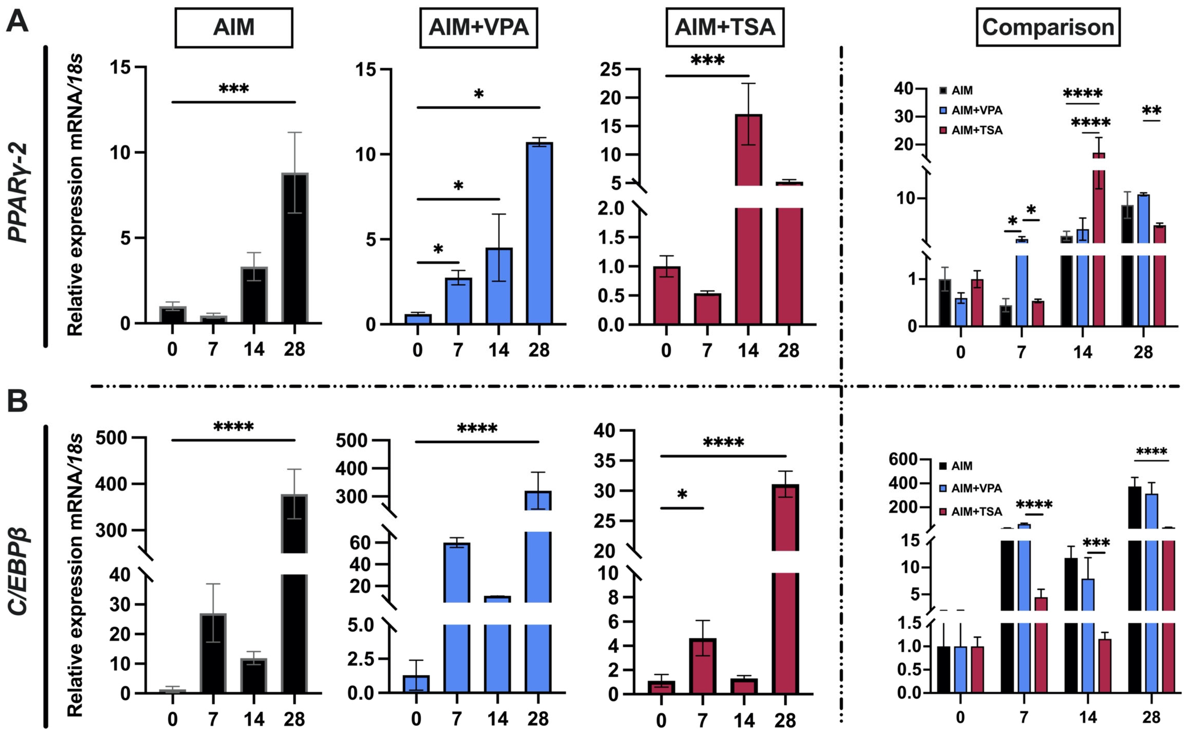 Epigenomes 09 00015 g004