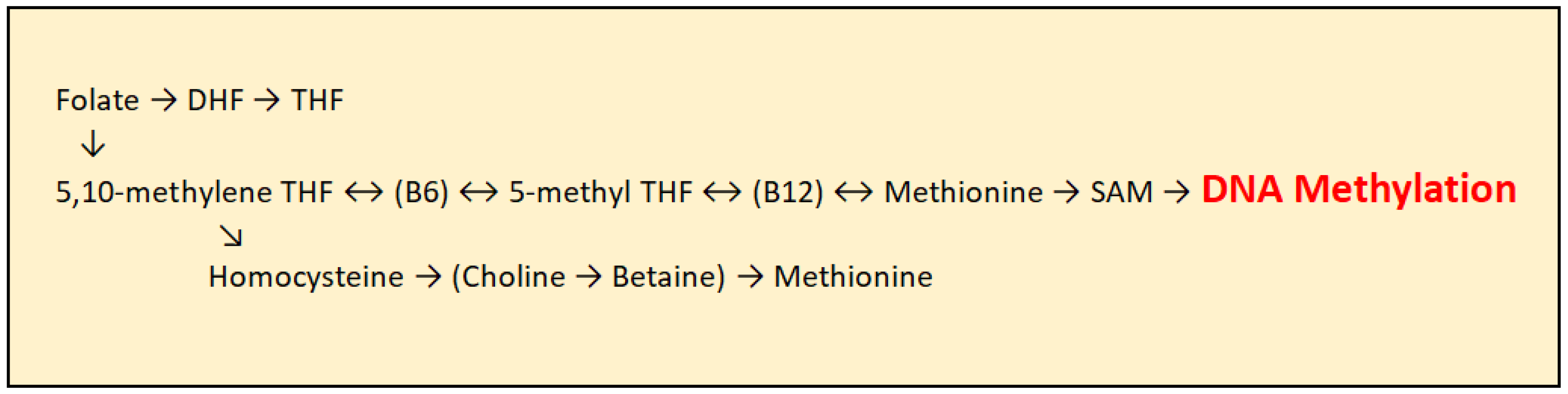 Epigenomes 09 00017 g003
