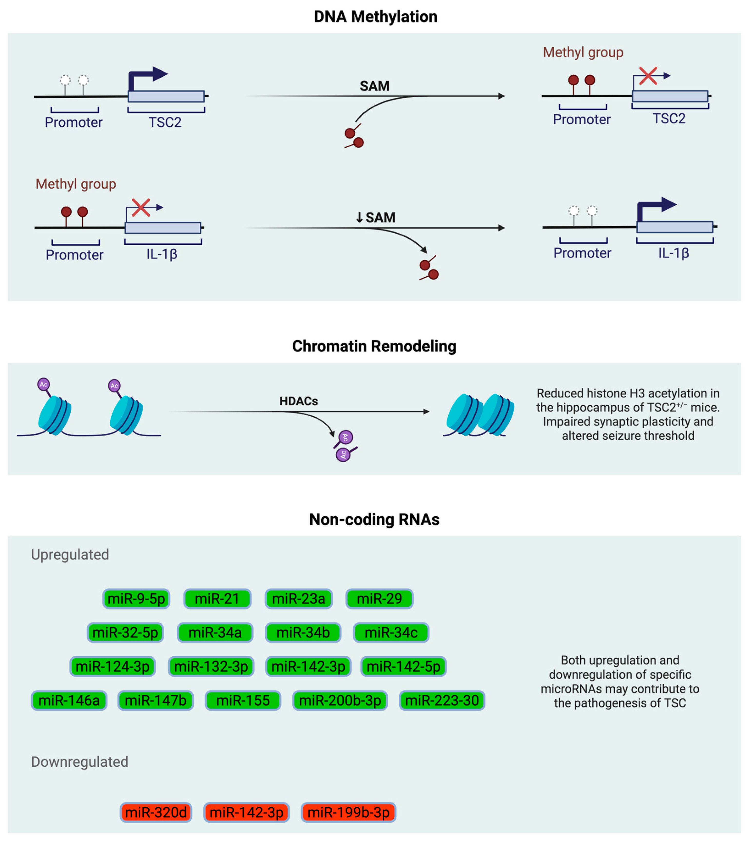 Epigenomes 09 00020 g001