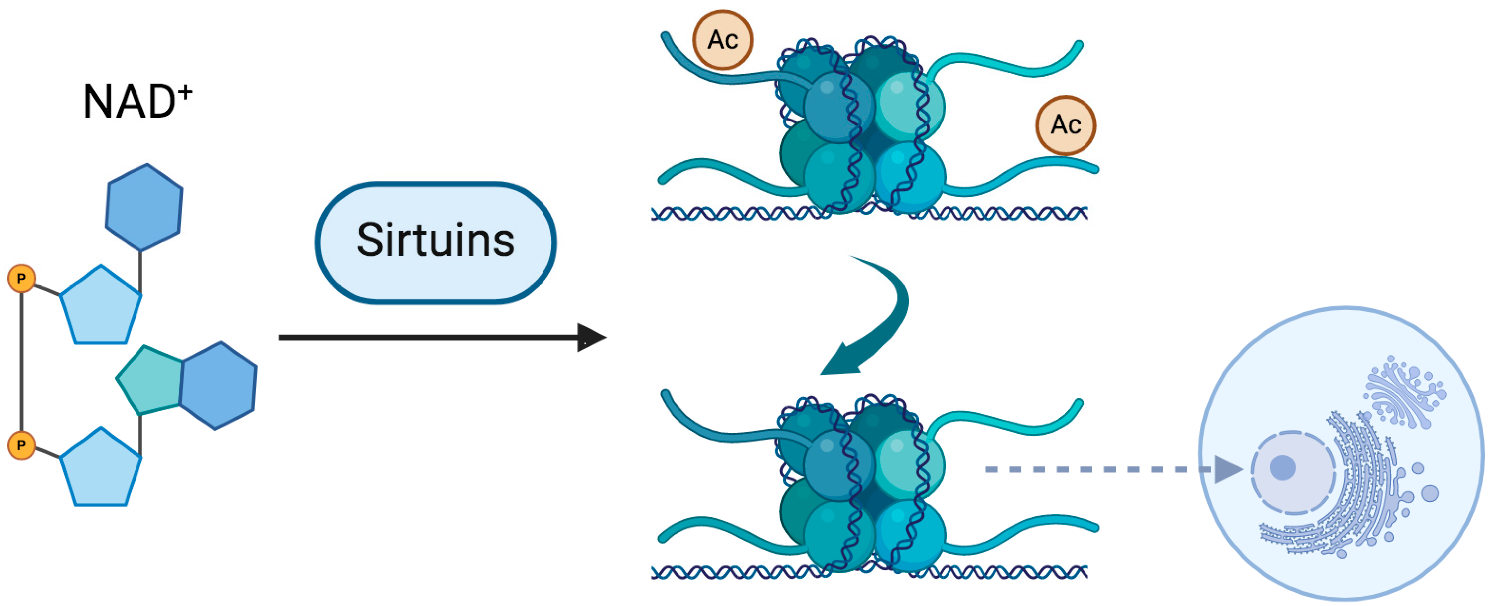 Epigenomes 09 00023 g001