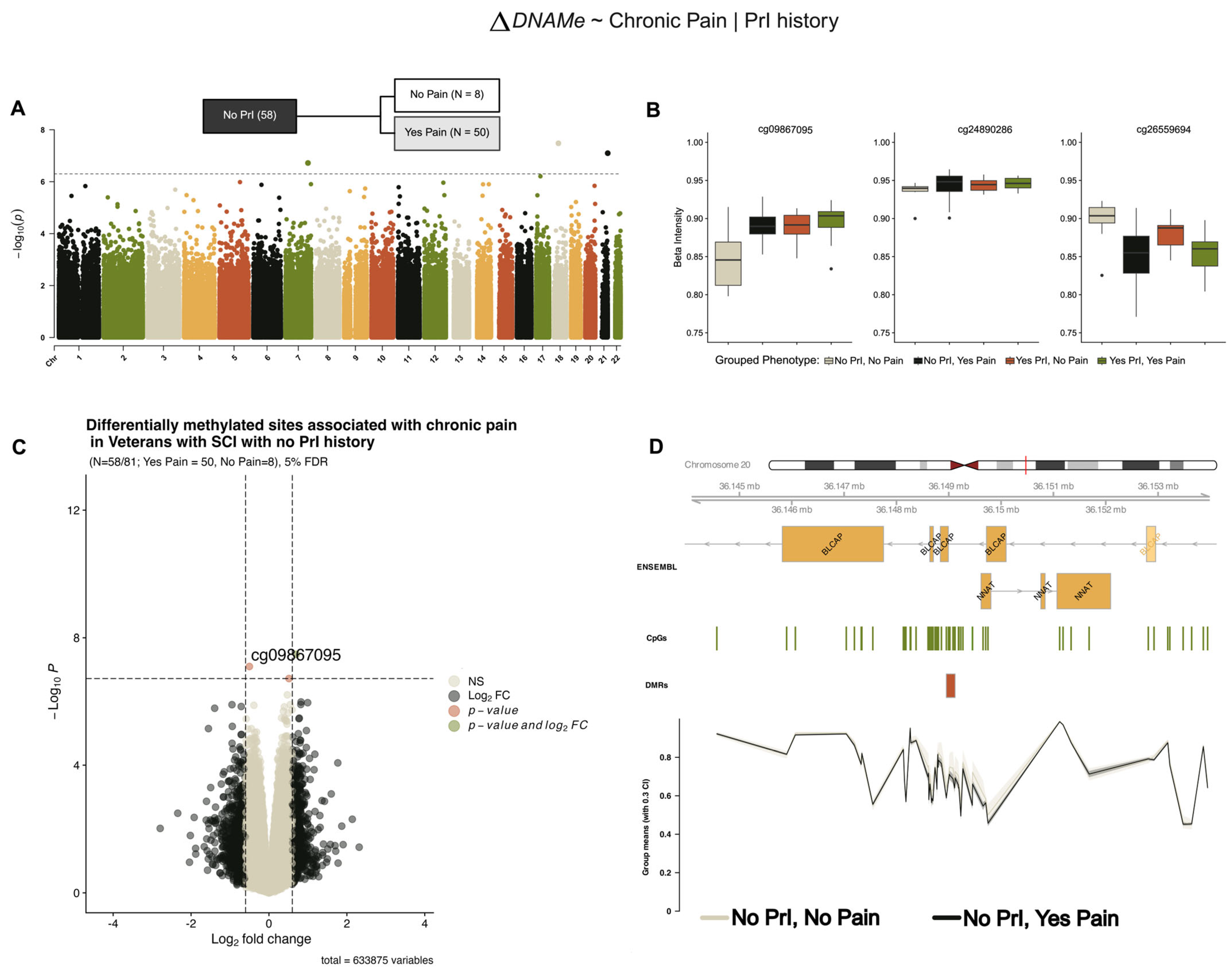 Epigenomes 09 00026 g003