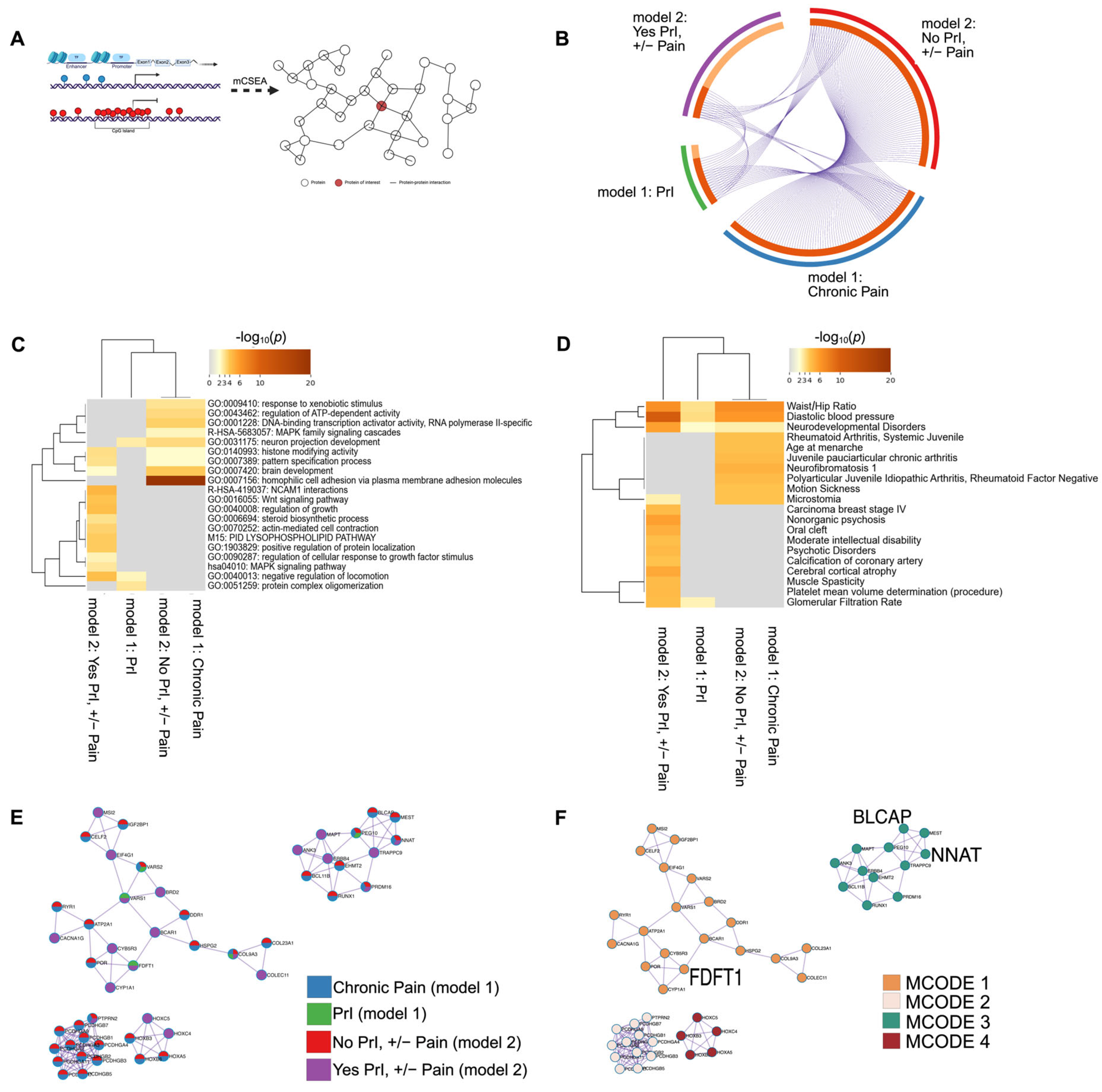 Epigenomes 09 00026 g005