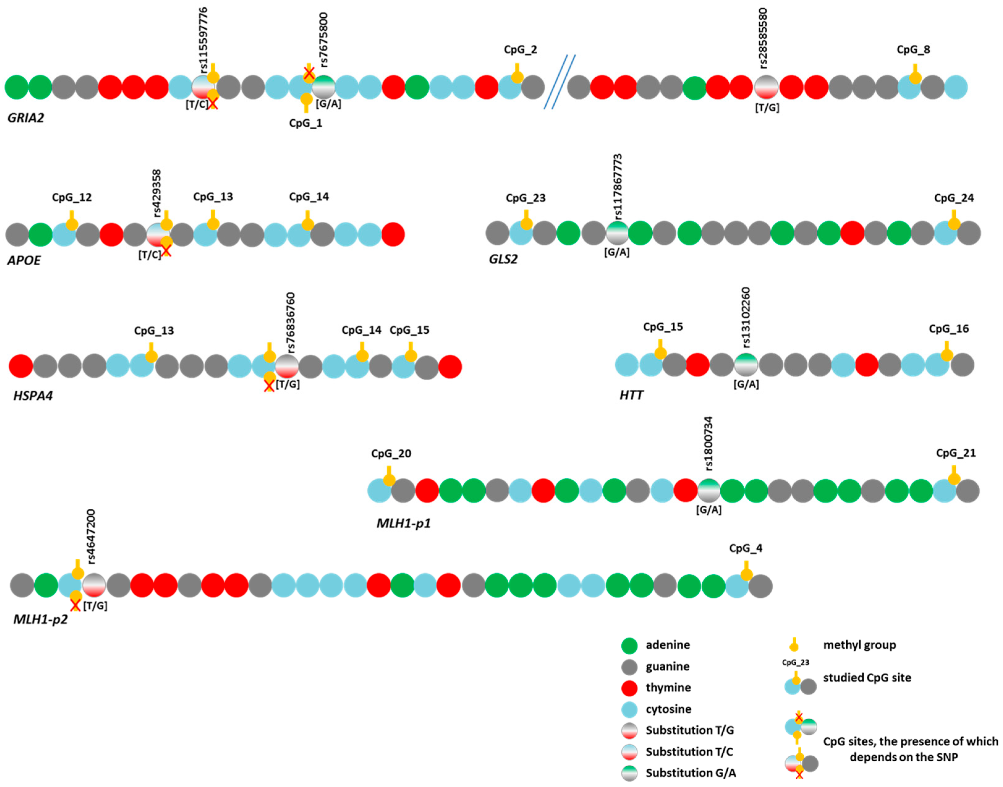 Epigenomes 09 00028 g005 Epigenomes 09 00028 g005