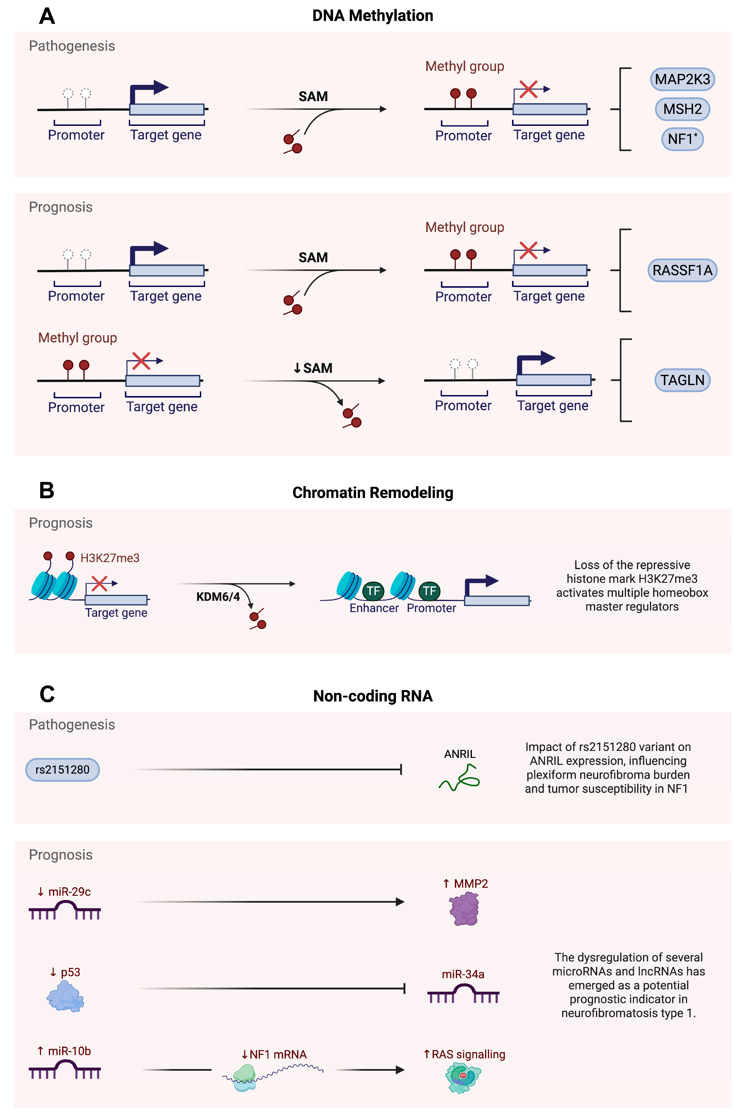 Epigenomes 09 00030 g001