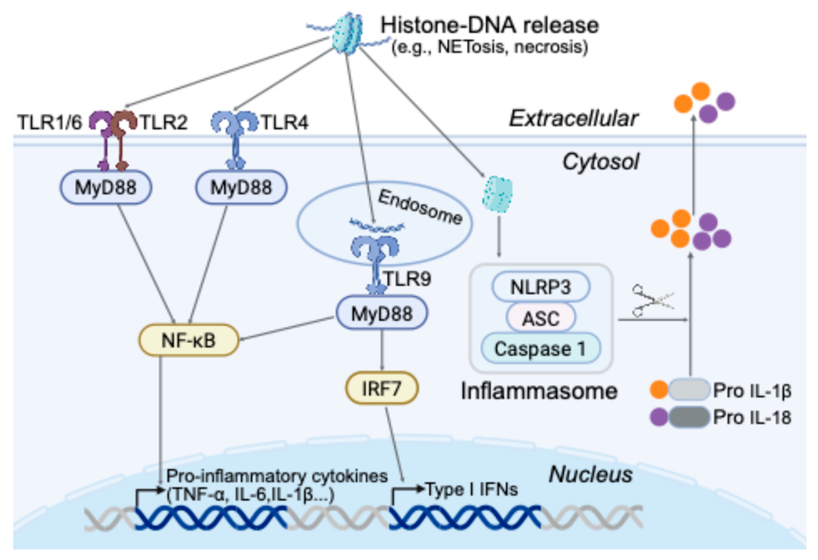 Epigenomes 09 00033 g001
