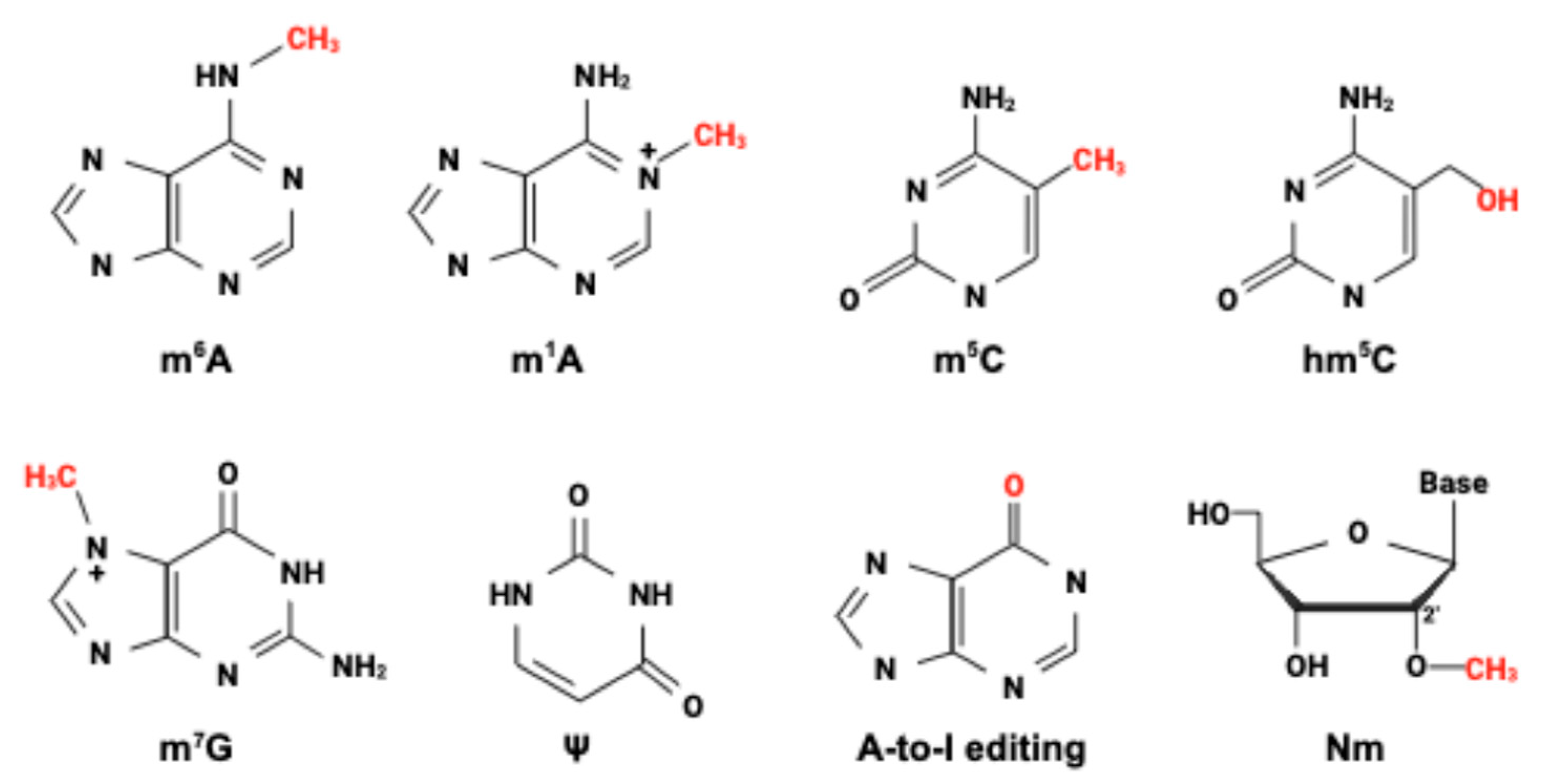 Epigenomes 09 00033 g002