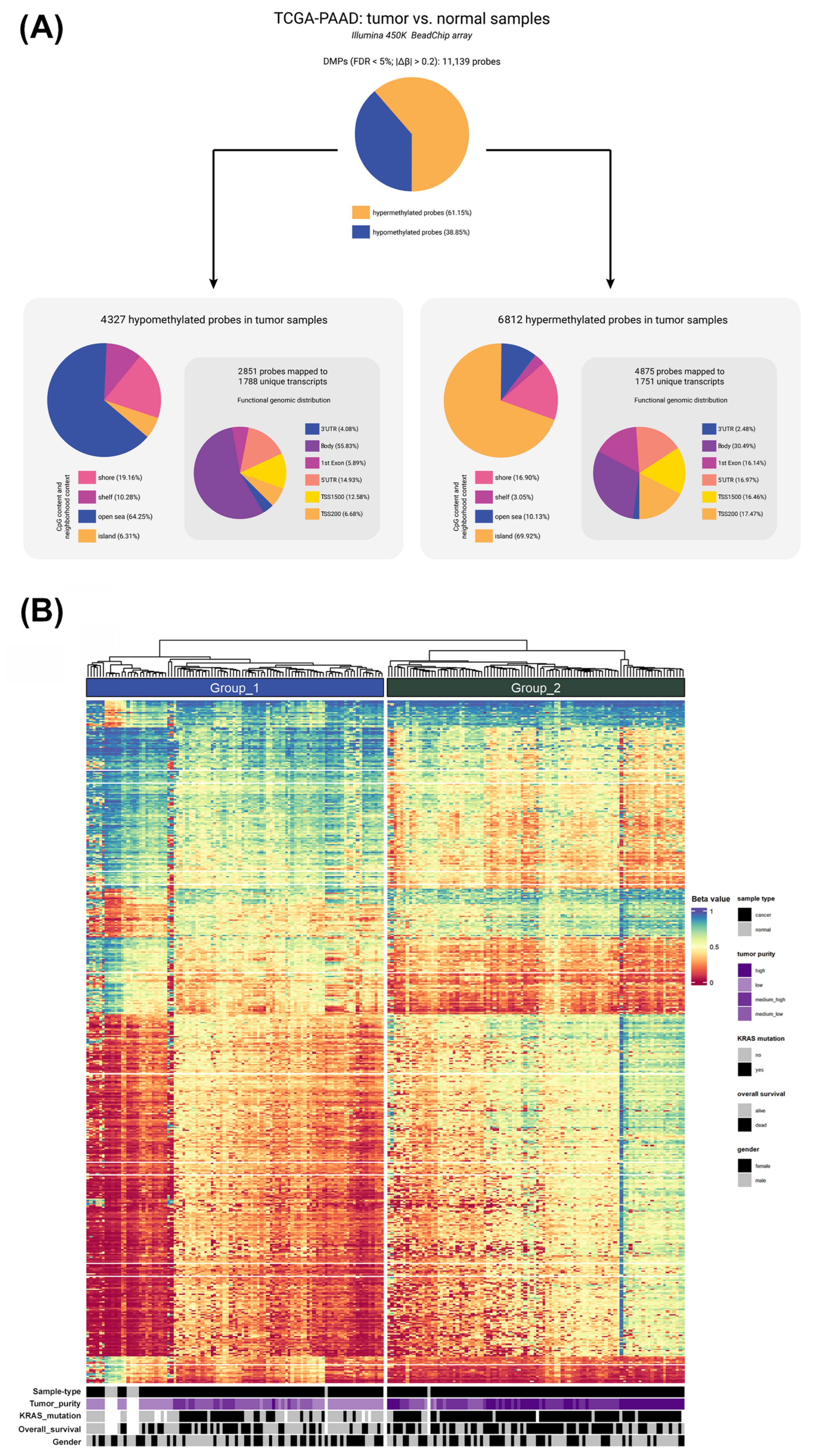 Epigenomes 09 00034 g001
