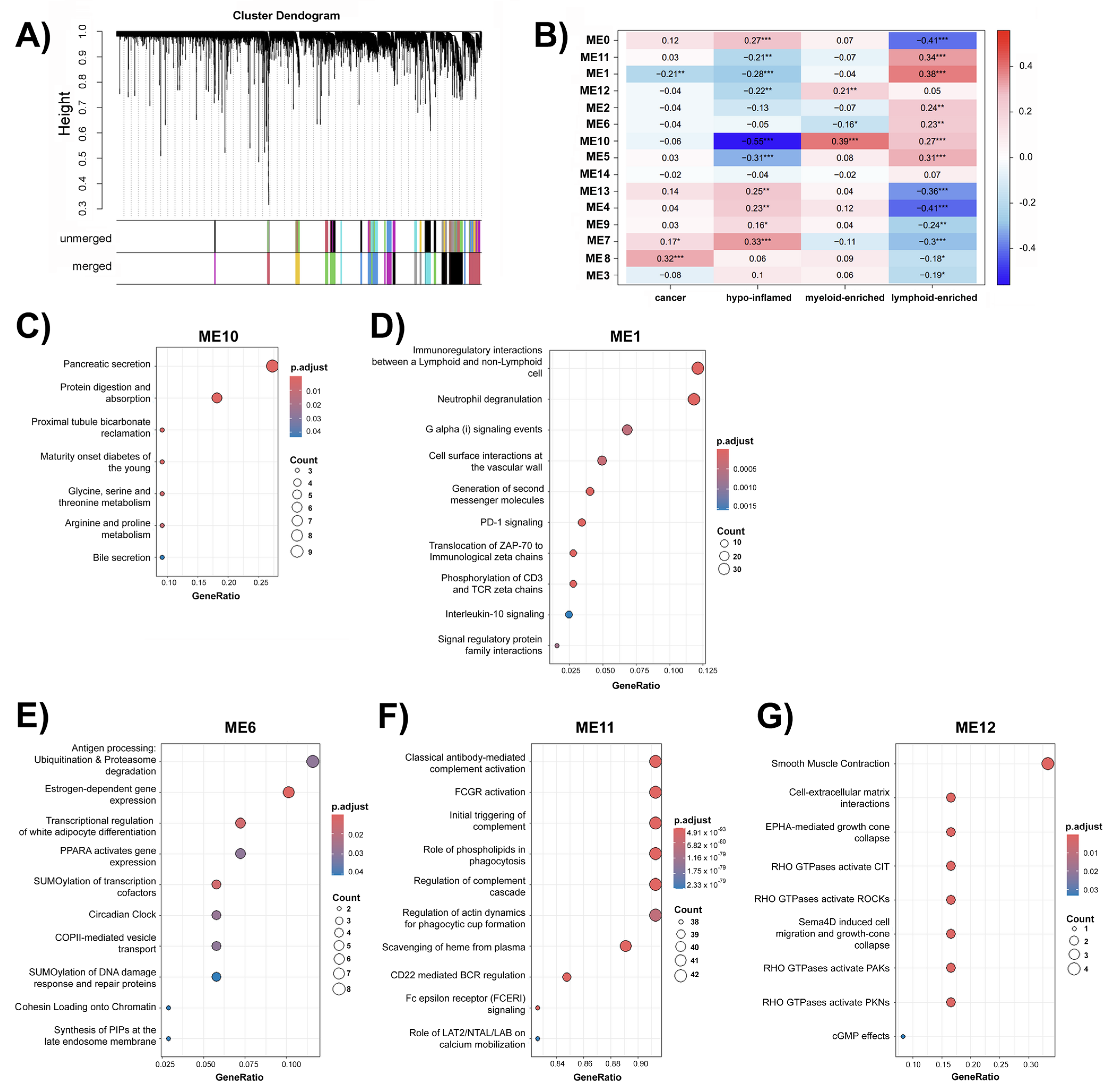 Epigenomes 09 00034 g003