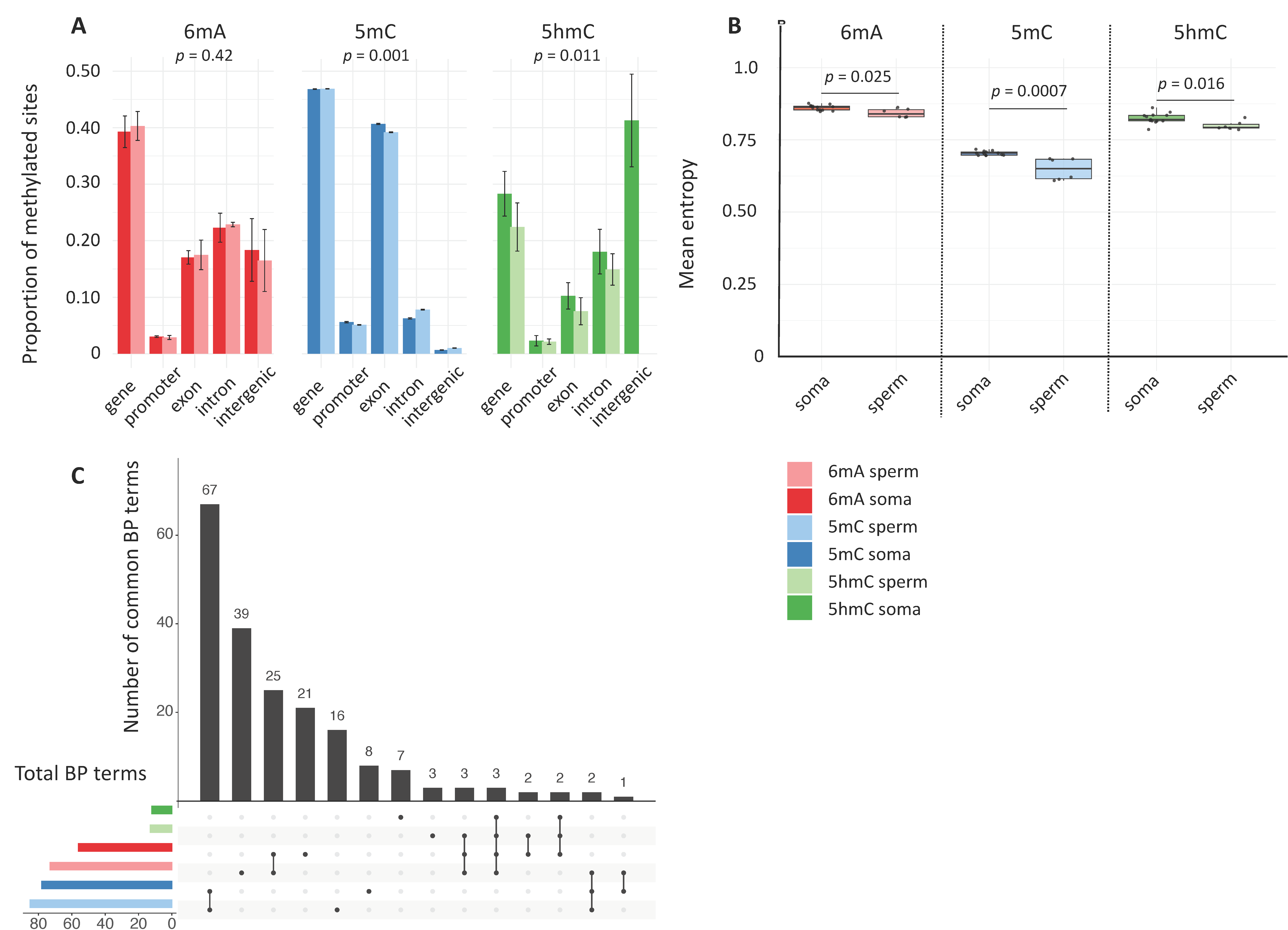 Epigenomes 09 00035 g002