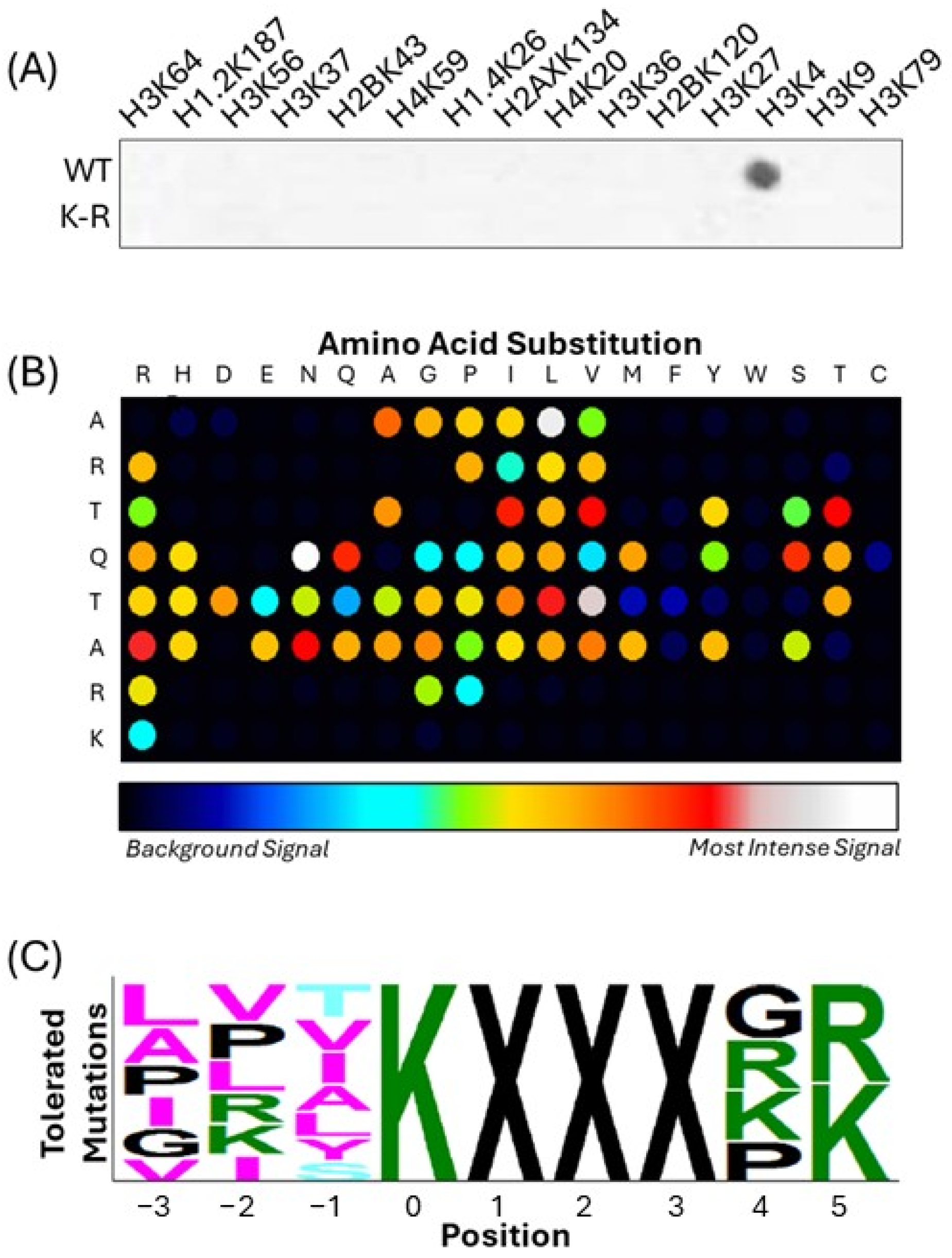 Epigenomes 09 00041 g001