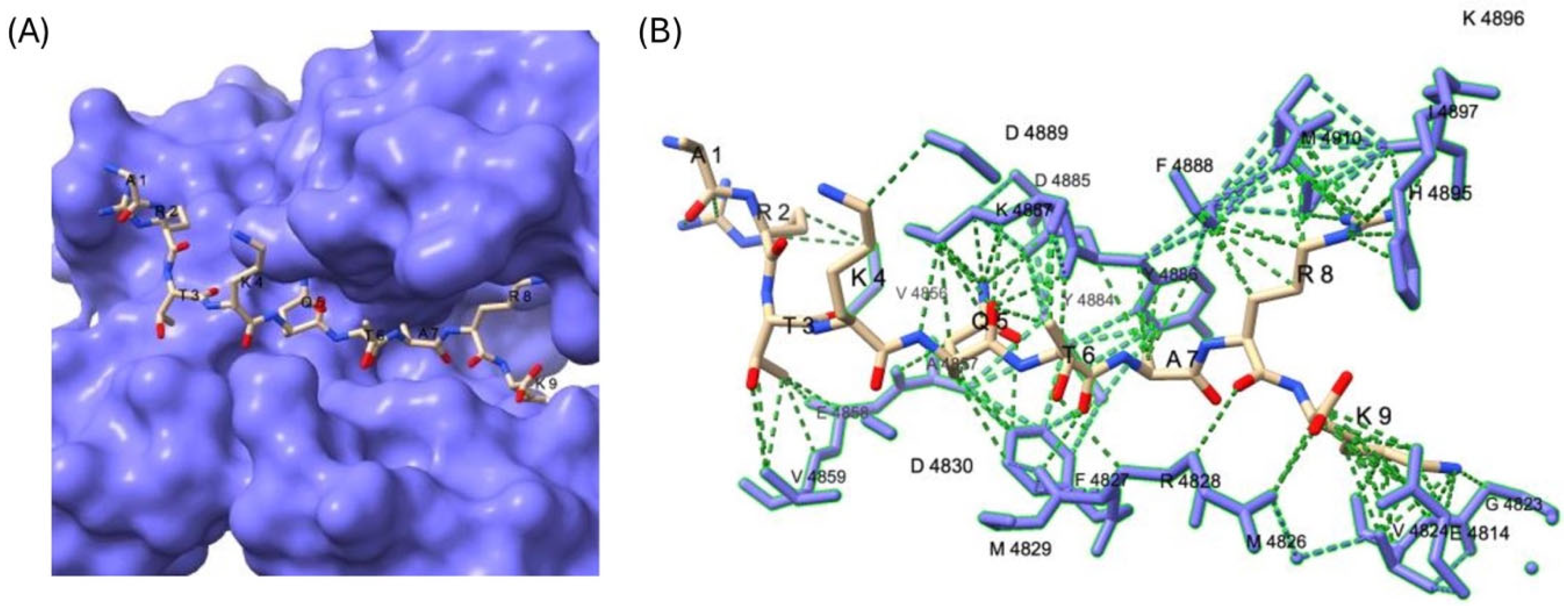 Epigenomes 09 00041 g002