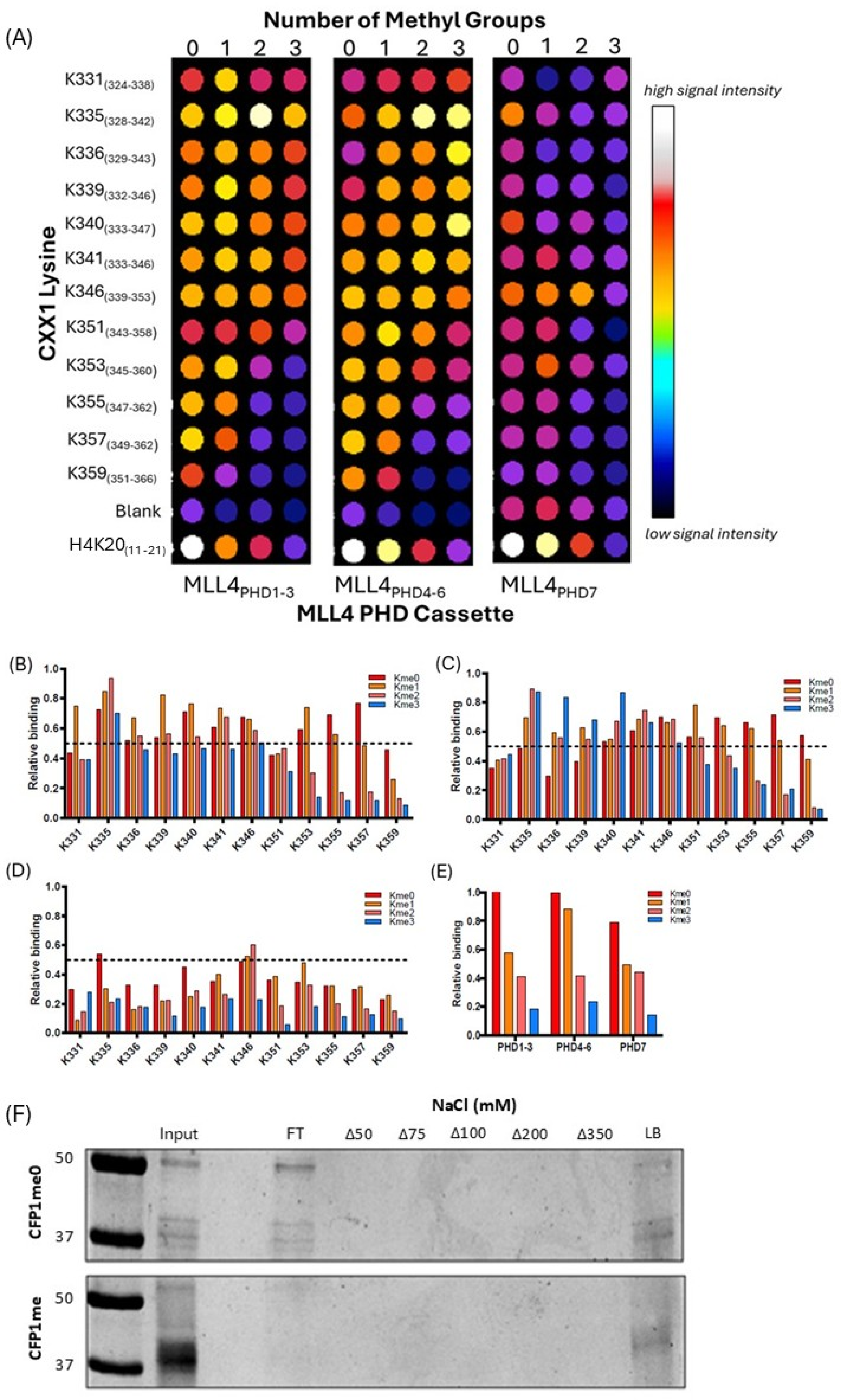 Epigenomes 09 00041 g005