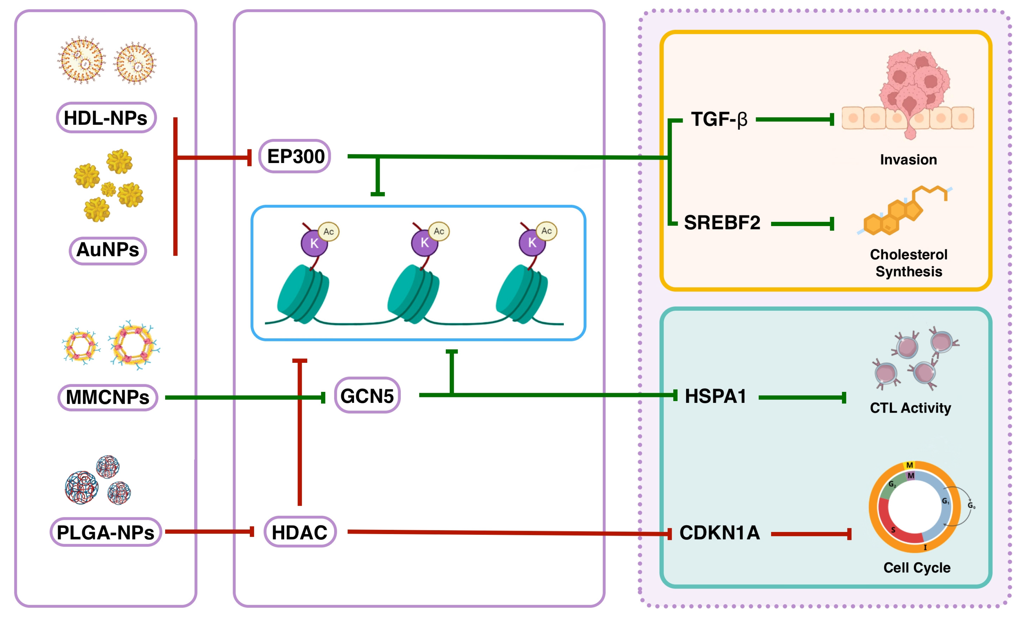 Epigenomes 09 00044 g008
