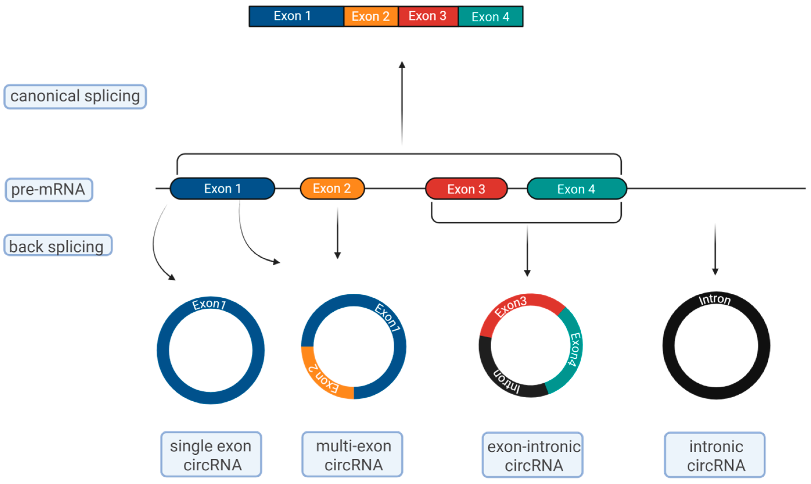Epigenomes 09 00047 g001