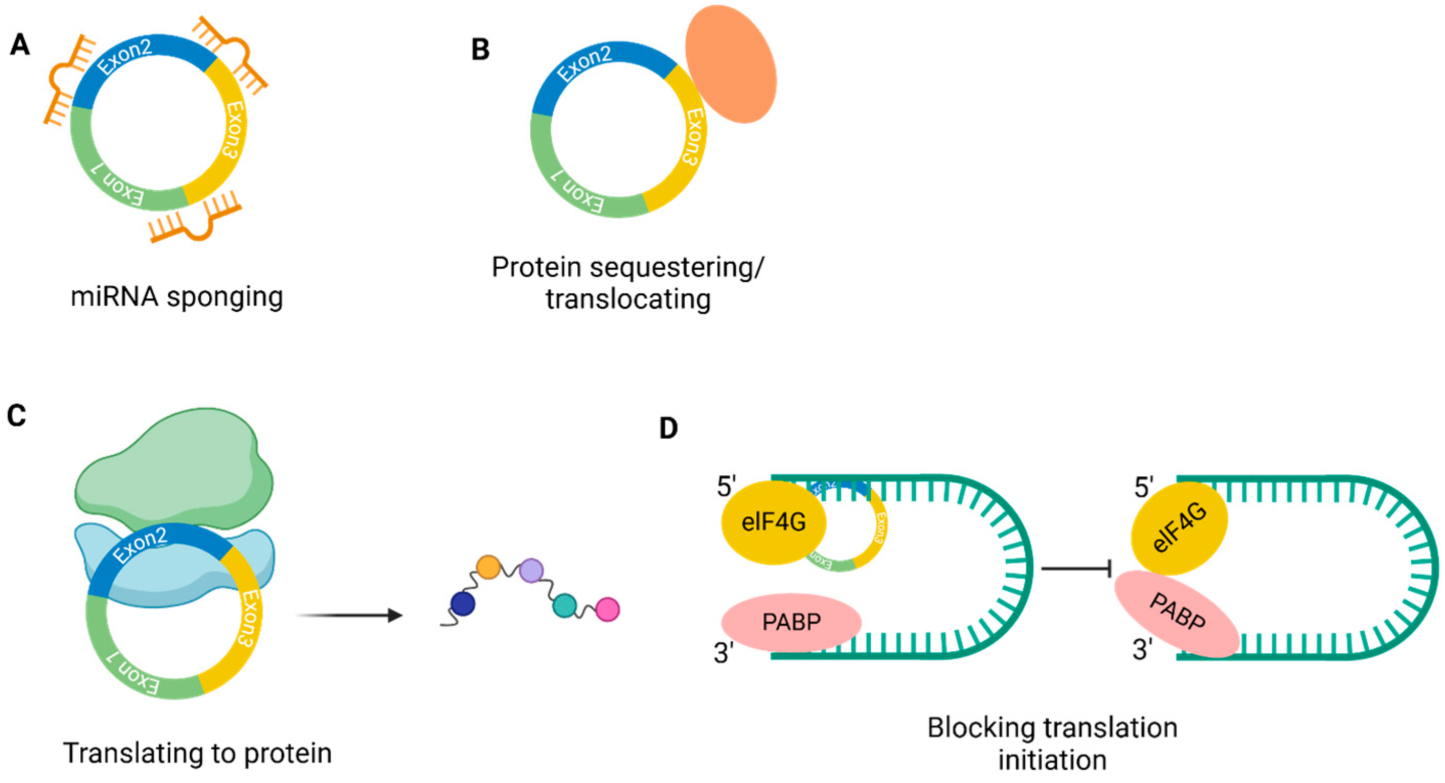 Epigenomes 09 00047 g002
