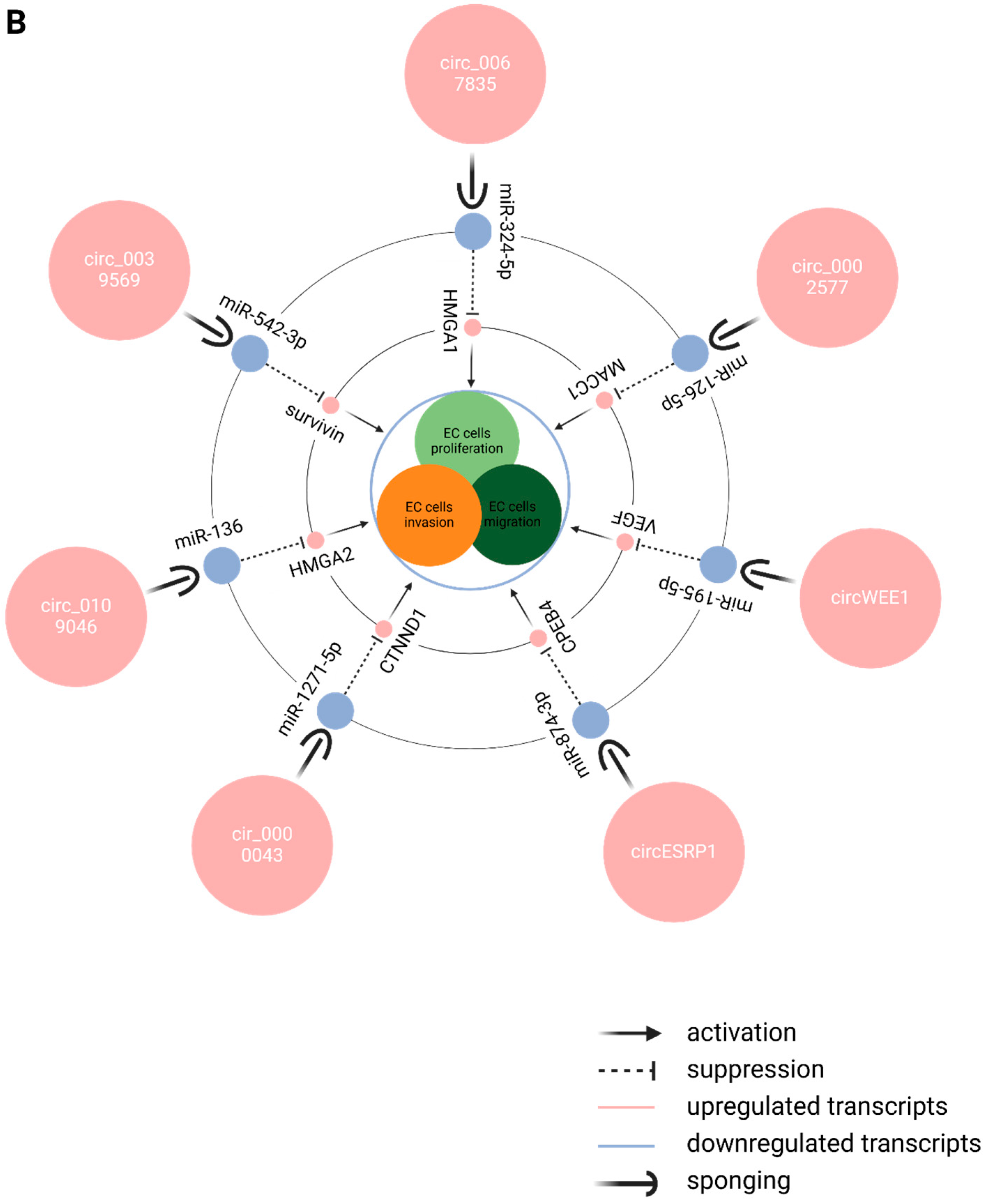 Epigenomes 09 00047 g005b