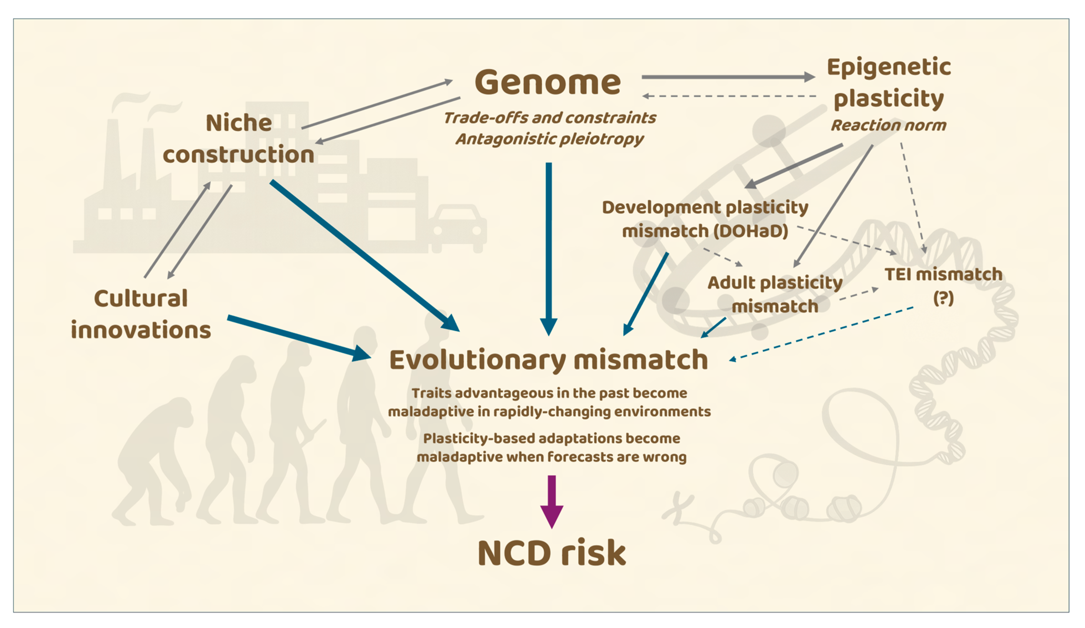 Epigenomes 09 00051 g001