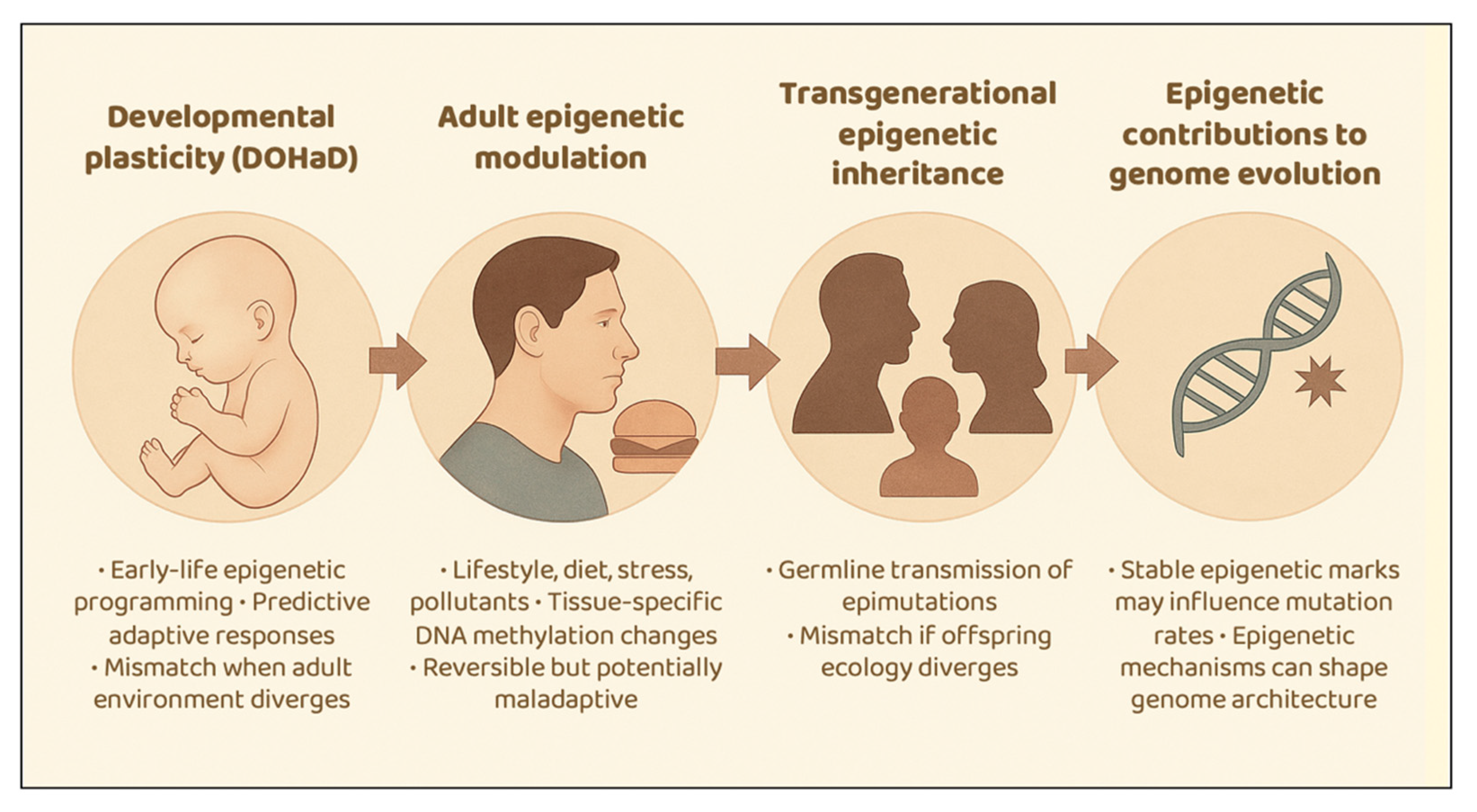 Epigenomes 09 00051 g002