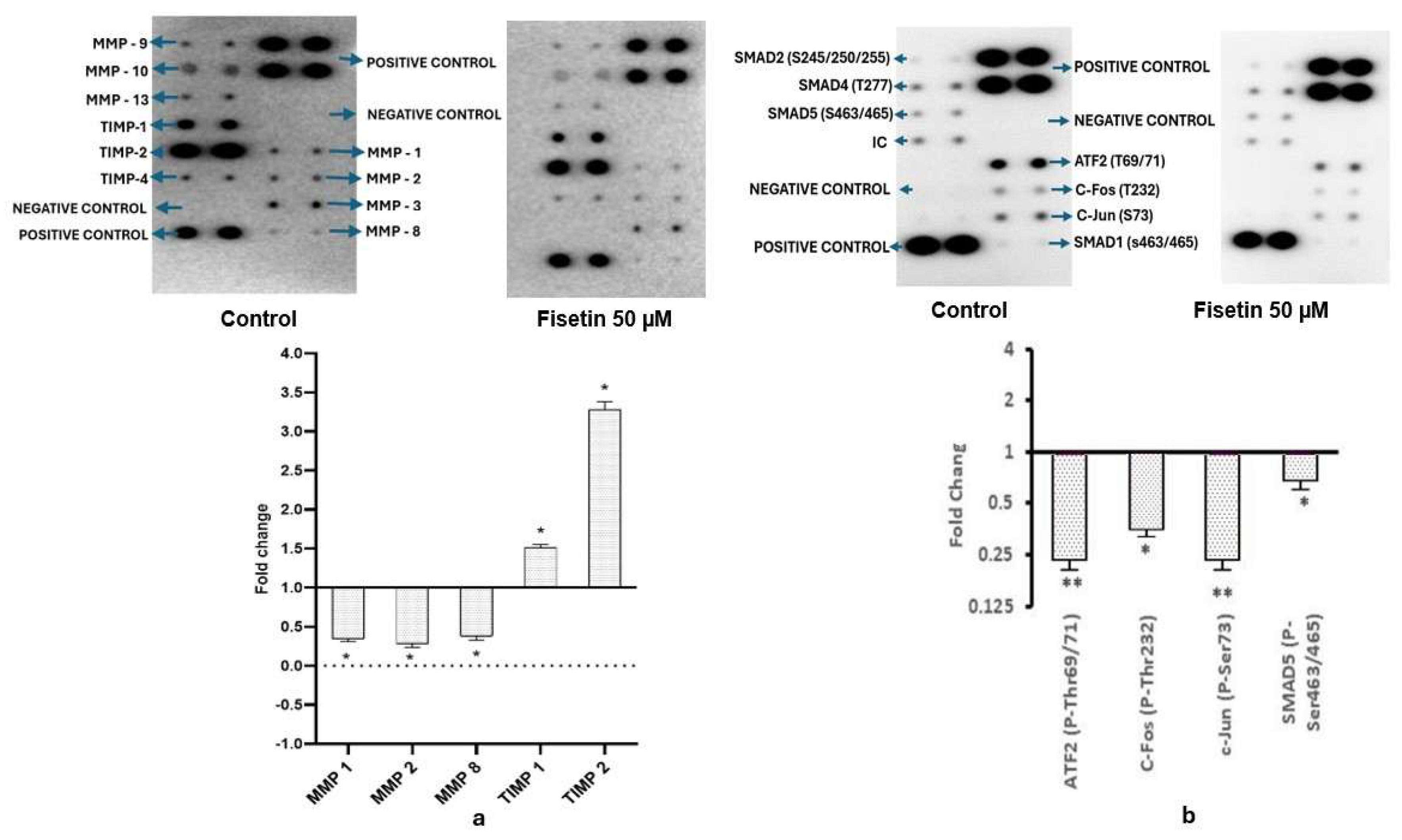 Epigenomes 10 00003 g004 Epigenomes 10 00003 g004