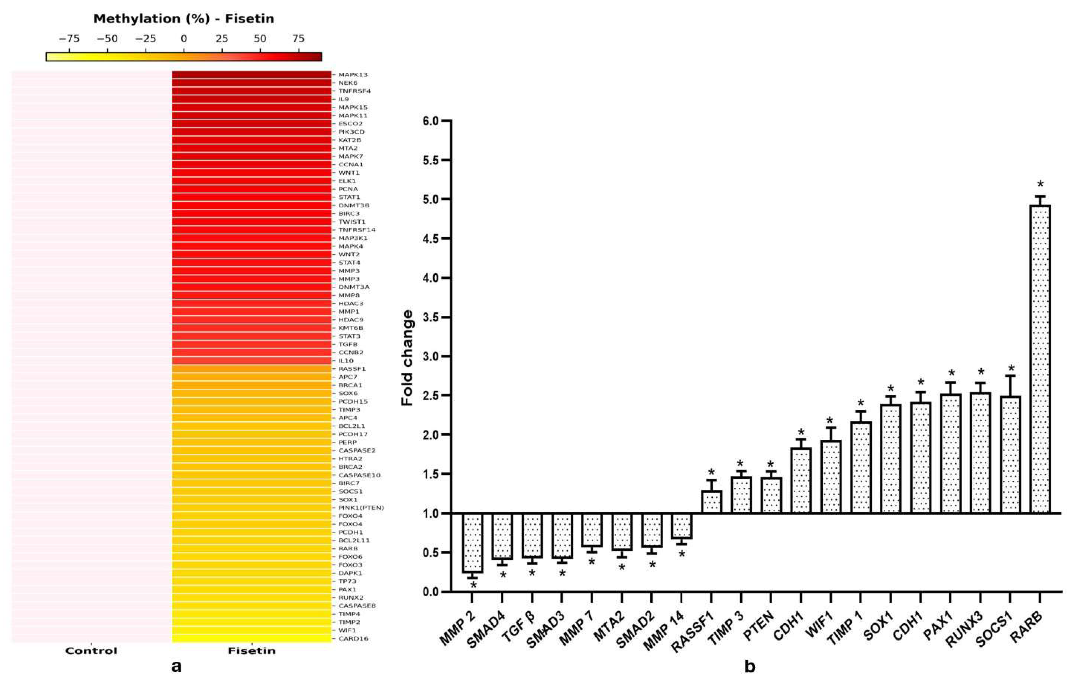 Epigenomes 10 00003 g005 Epigenomes 10 00003 g005