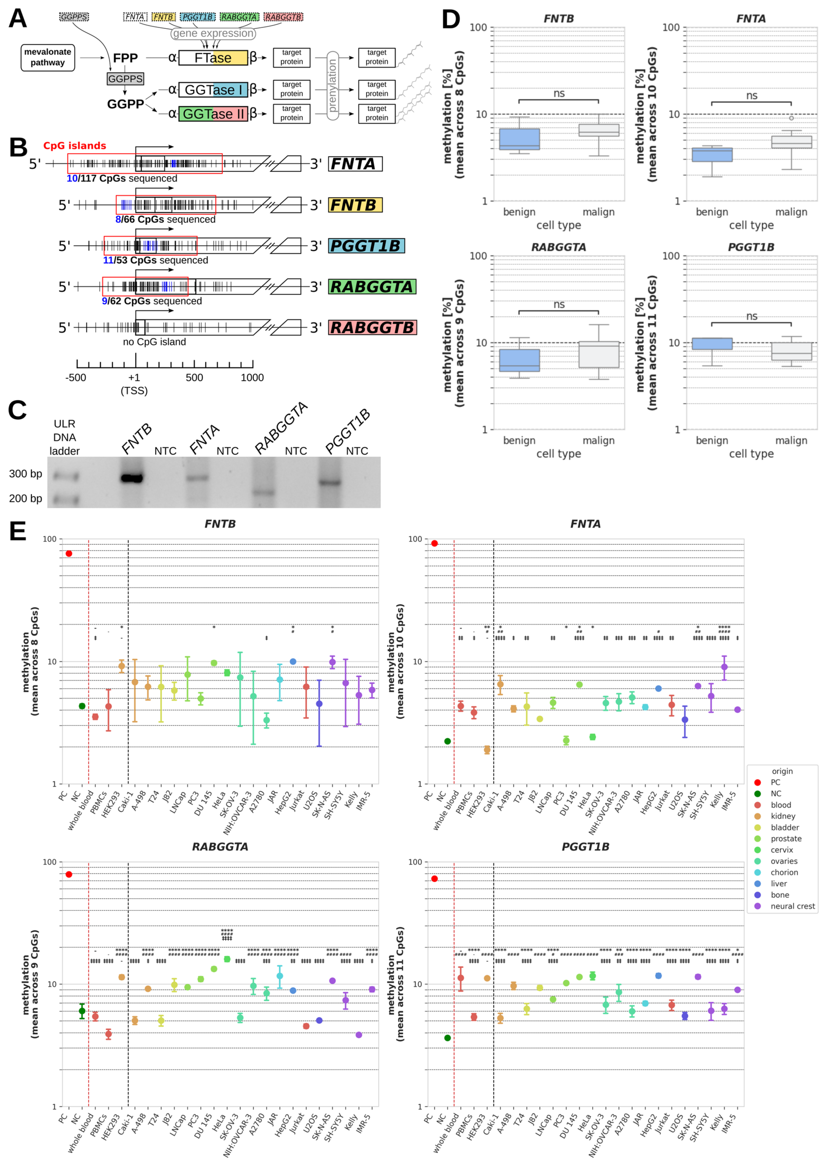 Epigenomes 10 00017 g001