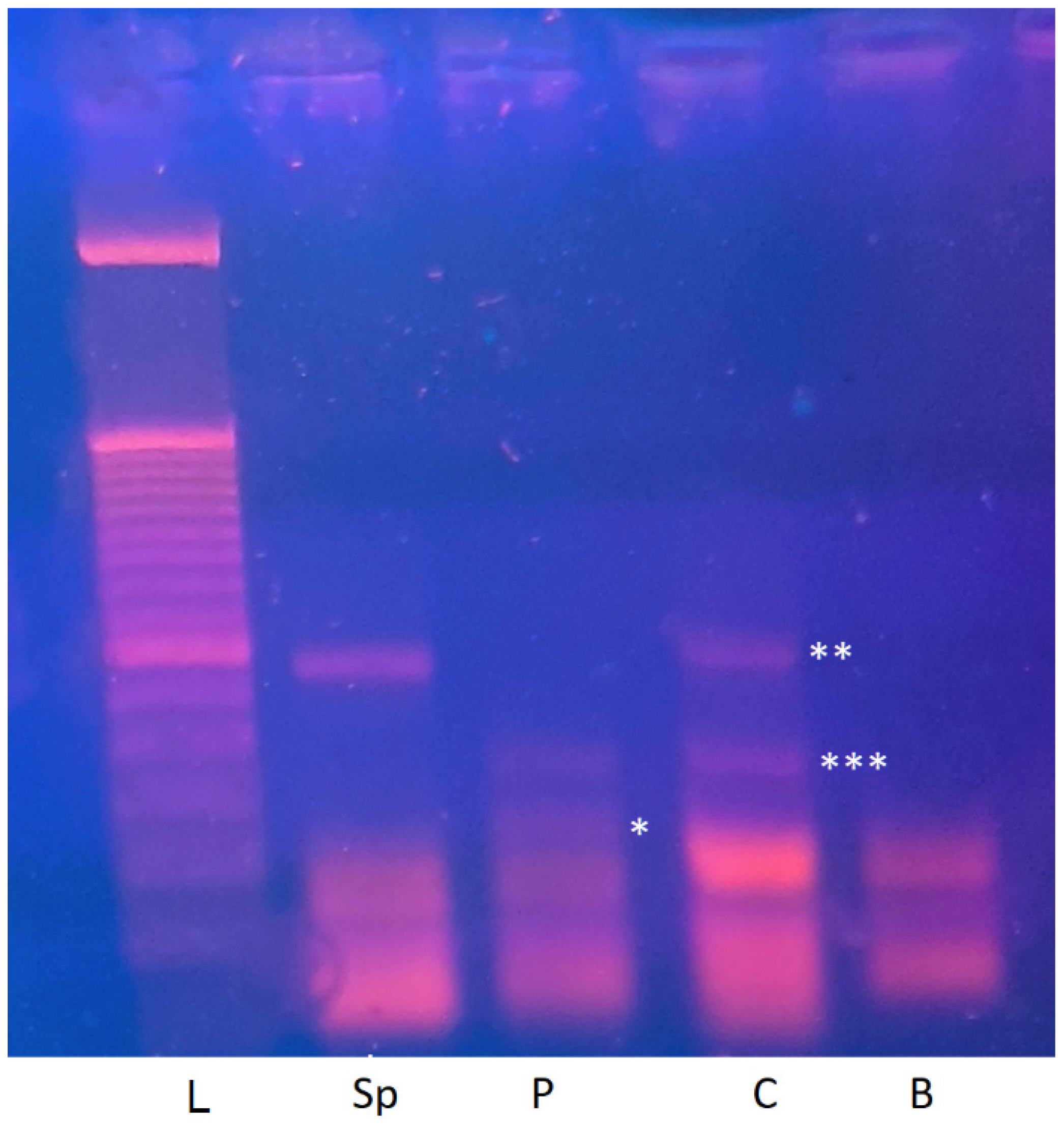 Epigenomes 10 00026 g002