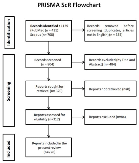 Preferred Reporting Items for Systematic Reviews and Meta-analyses extension for Scoping Reviews (PRISMA-ScR) flowchart.