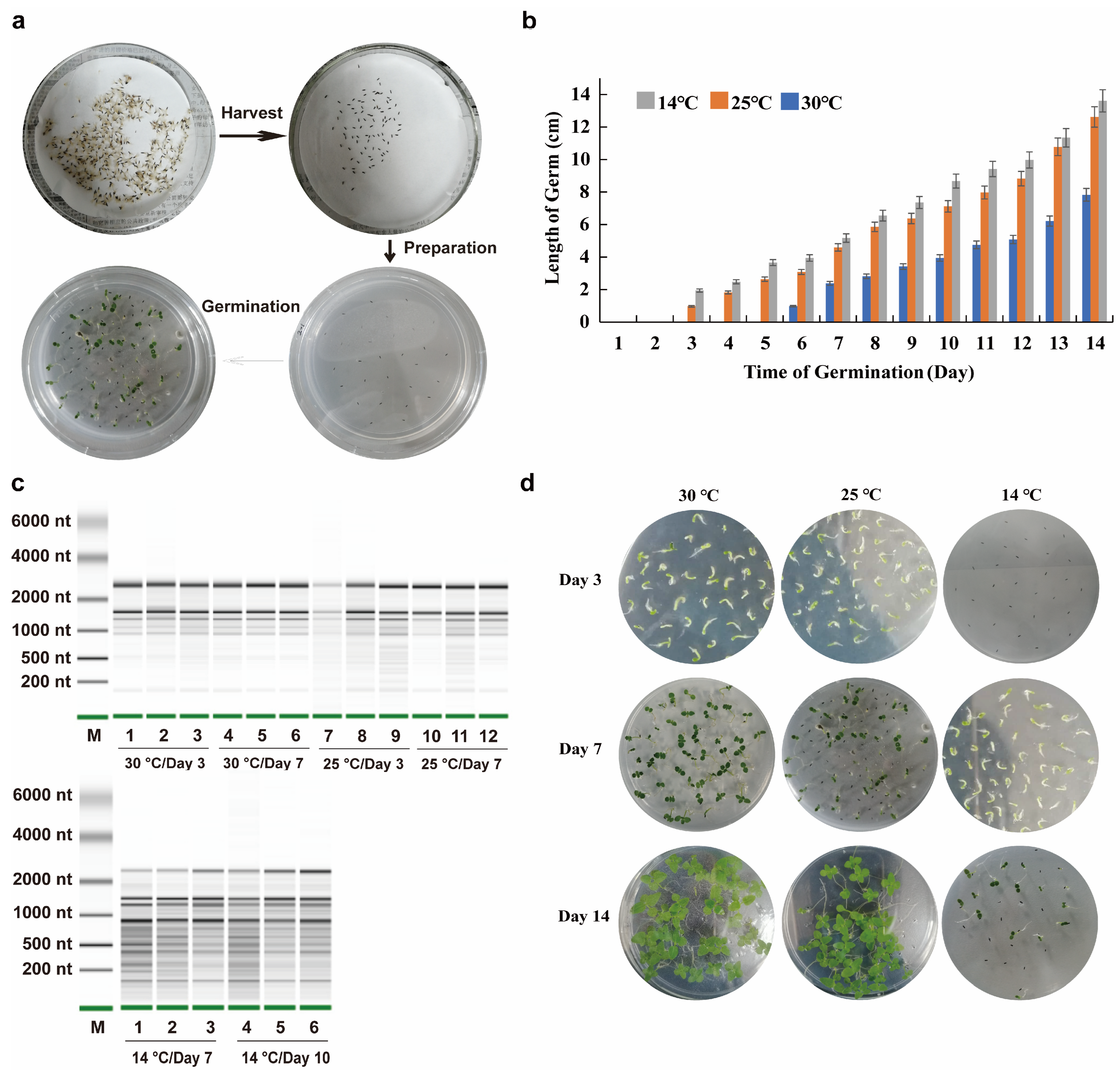 Epigenomes 10 00067 g001 Epigenomes 10 00067 g001