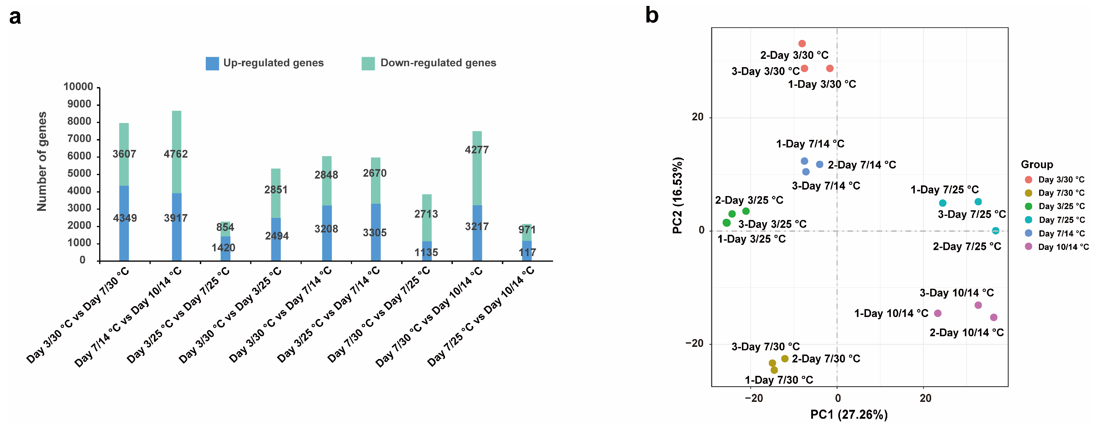 Epigenomes 10 00067 g004 Epigenomes 10 00067 g004
