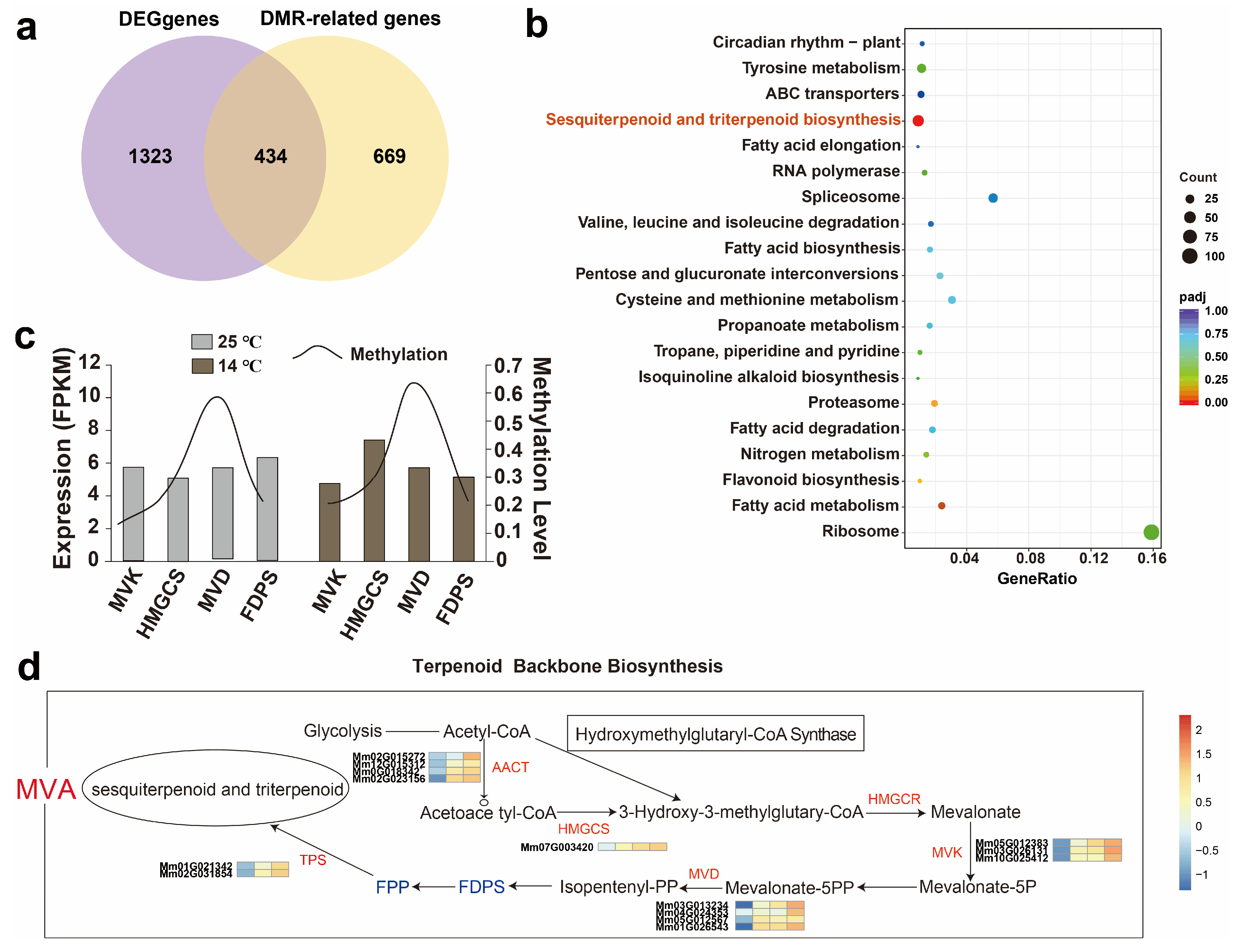 Epigenomes 10 00067 g006 Epigenomes 10 00067 g006